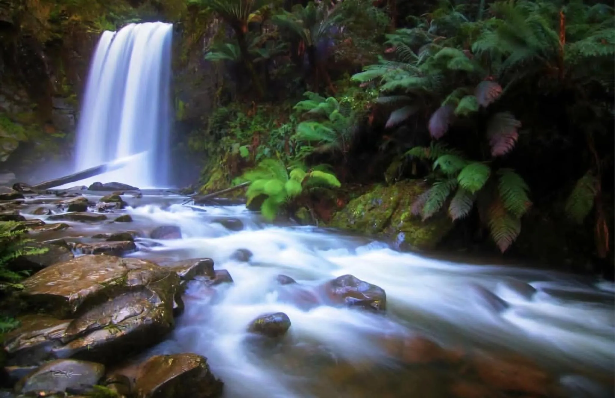 Seaview Motel & Apartments
