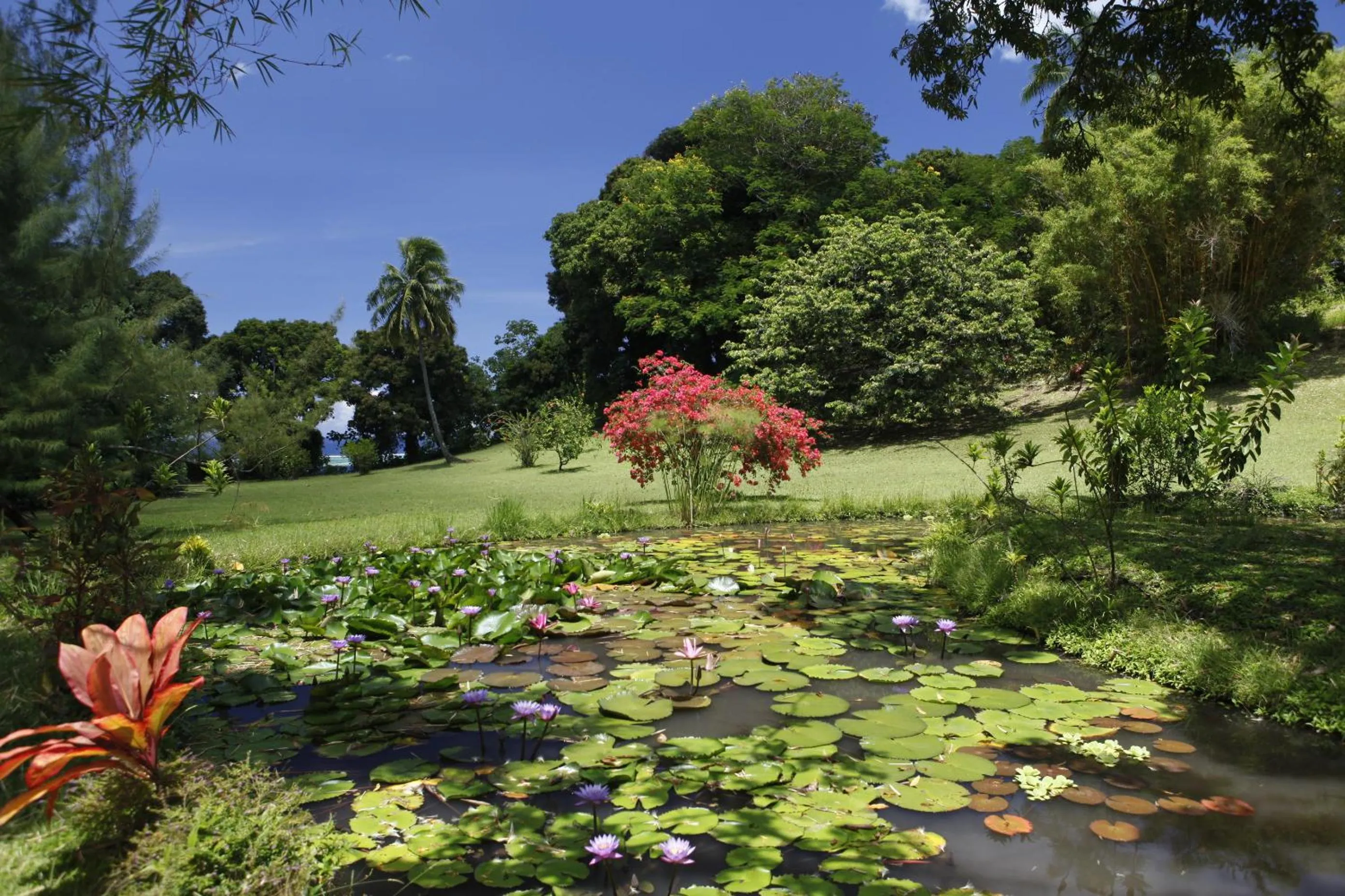 Lake view in Vanira Lodge