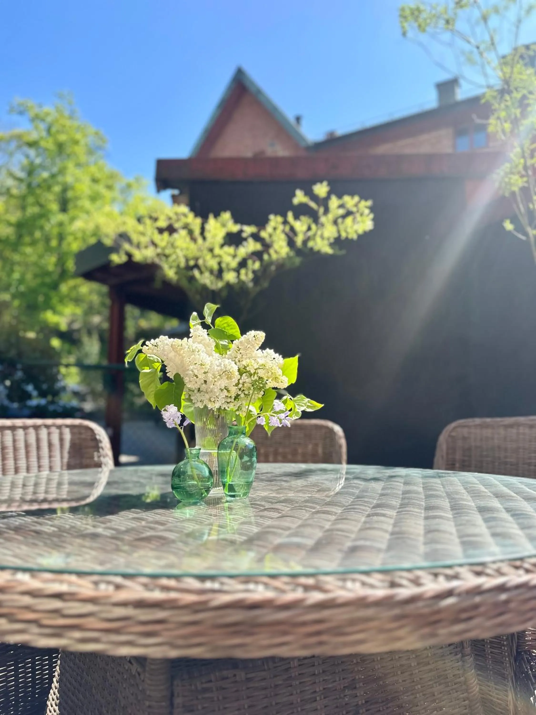 Garden in WOW, Föreningsgatan 9