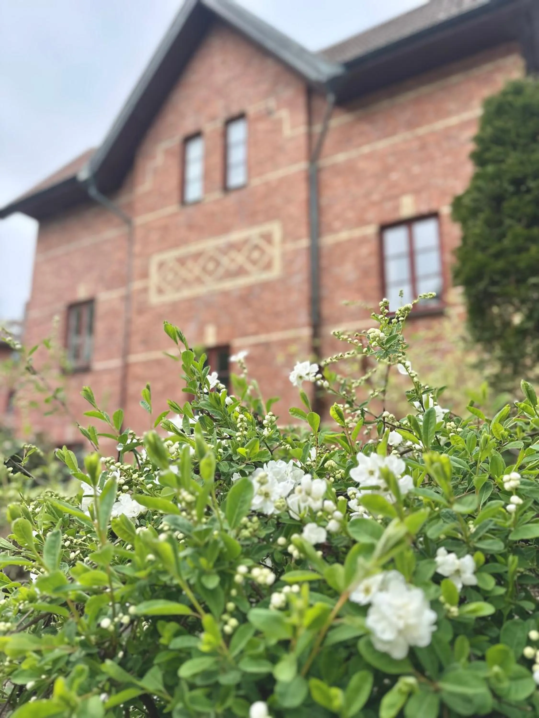 Property building in WOW, Föreningsgatan 9