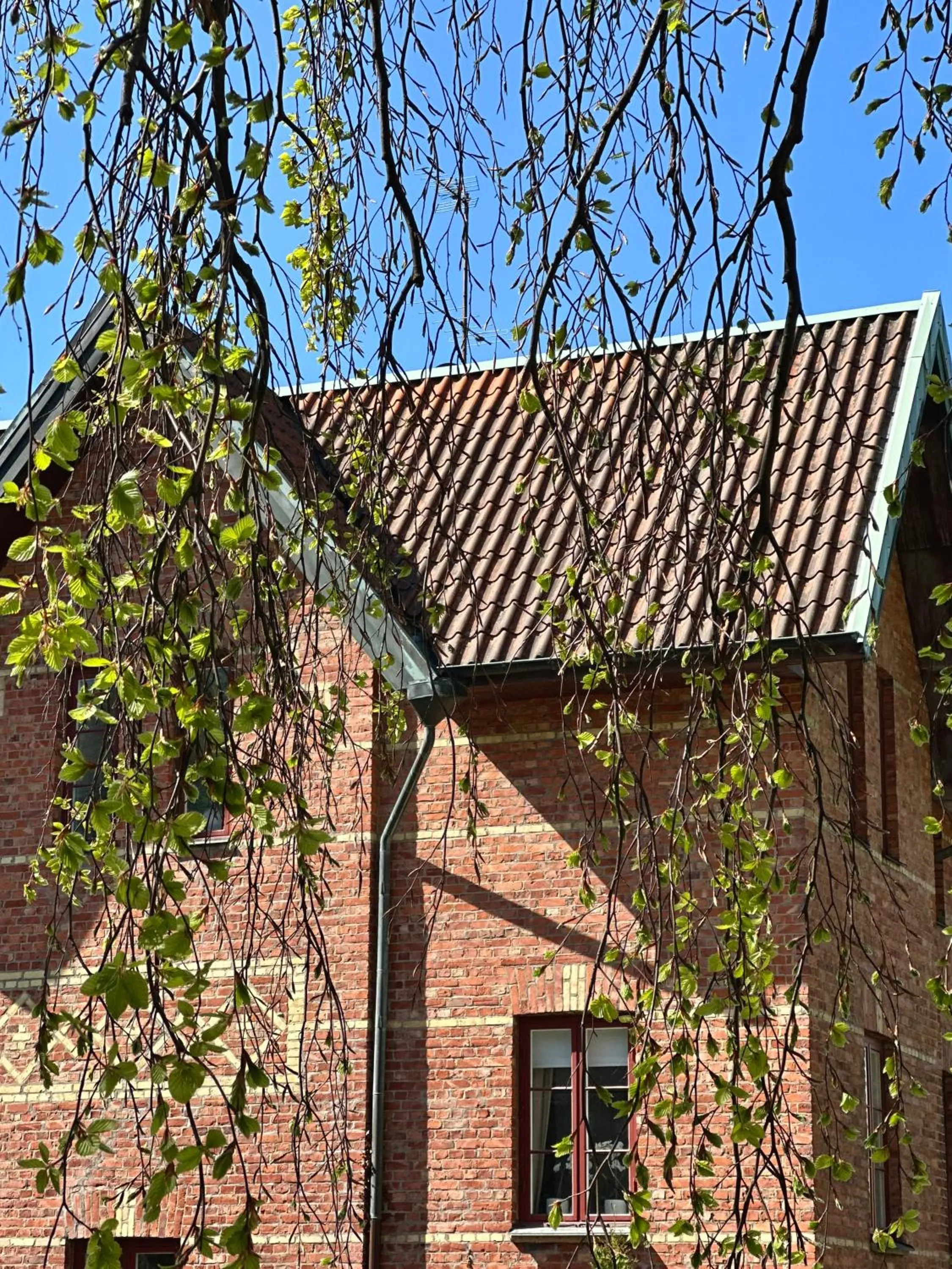 Property building in WOW, Föreningsgatan 9