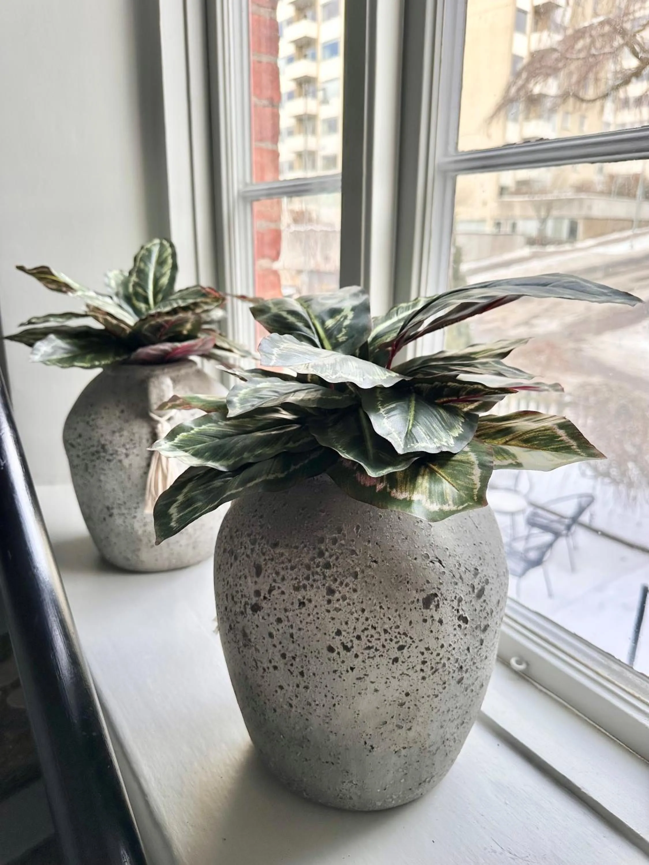 Property building in WOW, Föreningsgatan 9