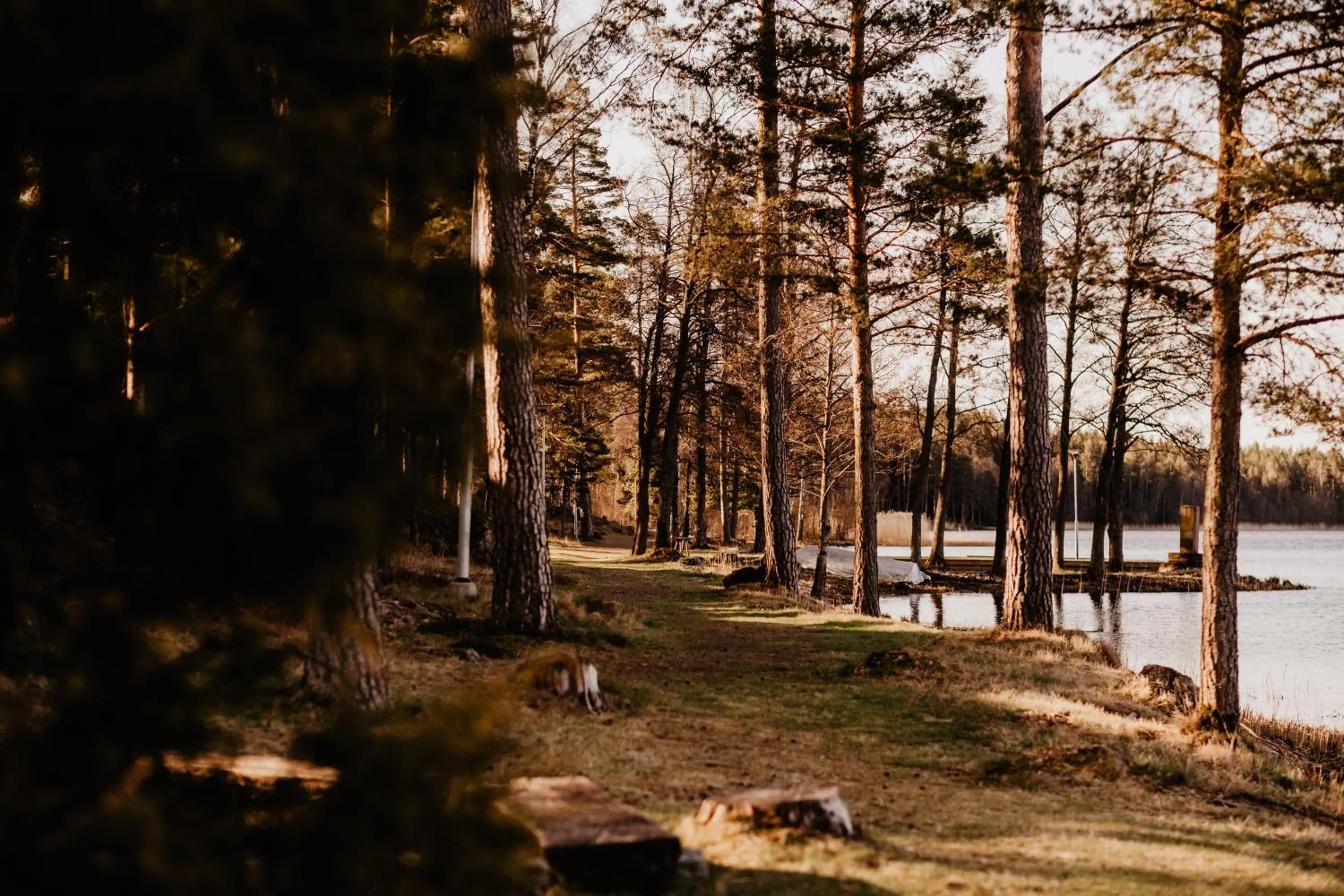 Natural landscape in Stiftsgården Tallnäs