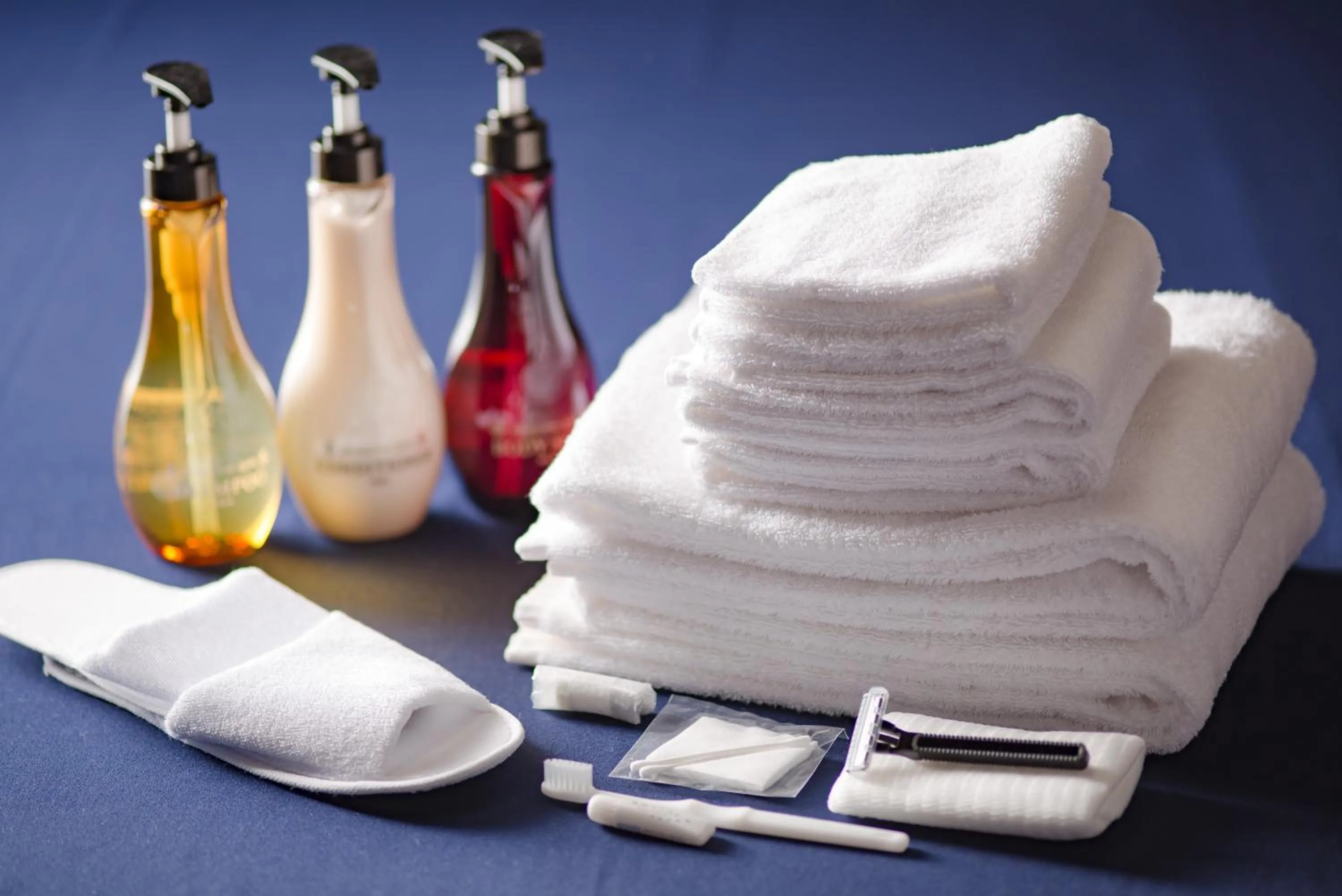 Other in Hotel Tokyo Garden Palace