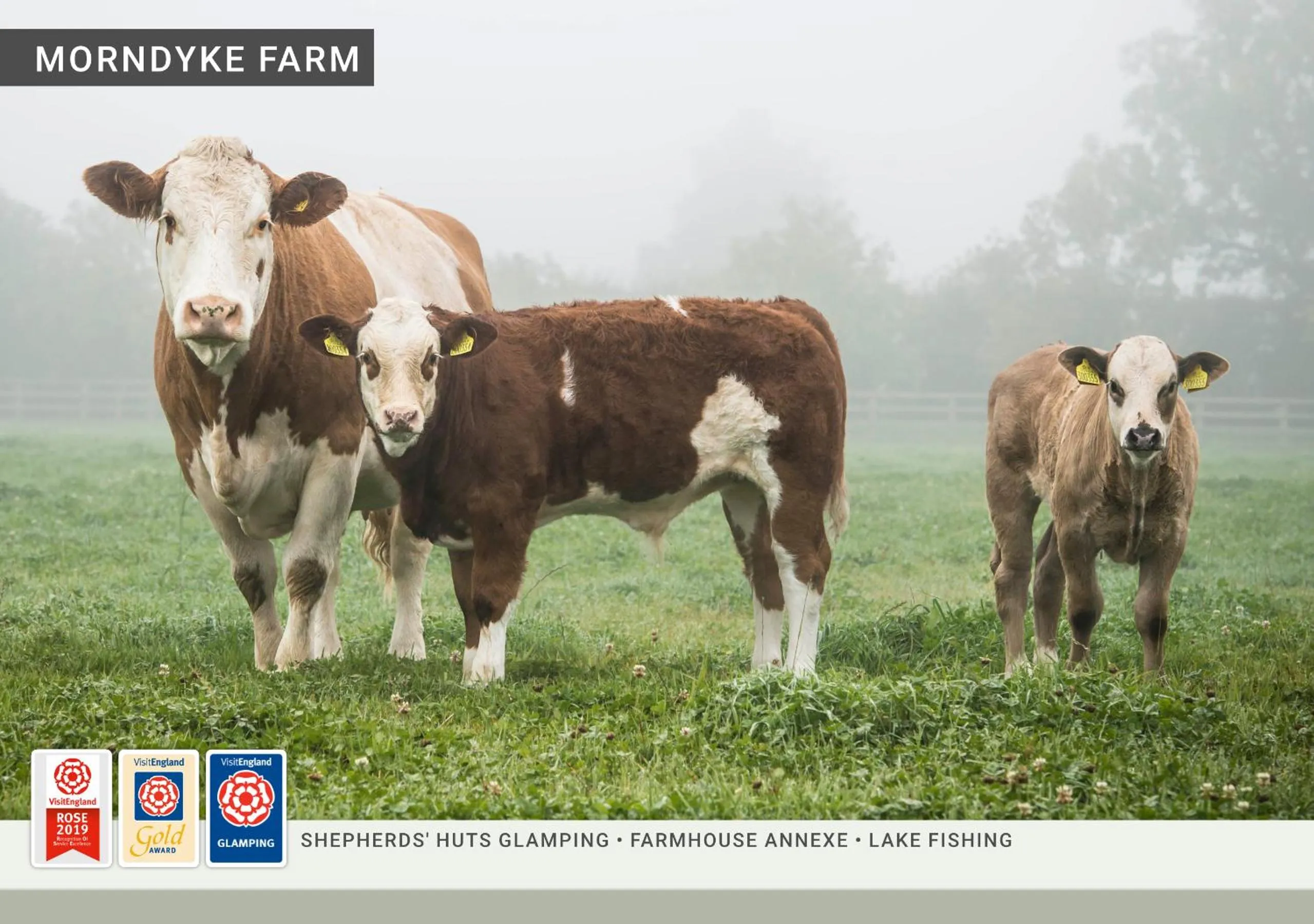 Animals in Morndyke Shepherds Huts