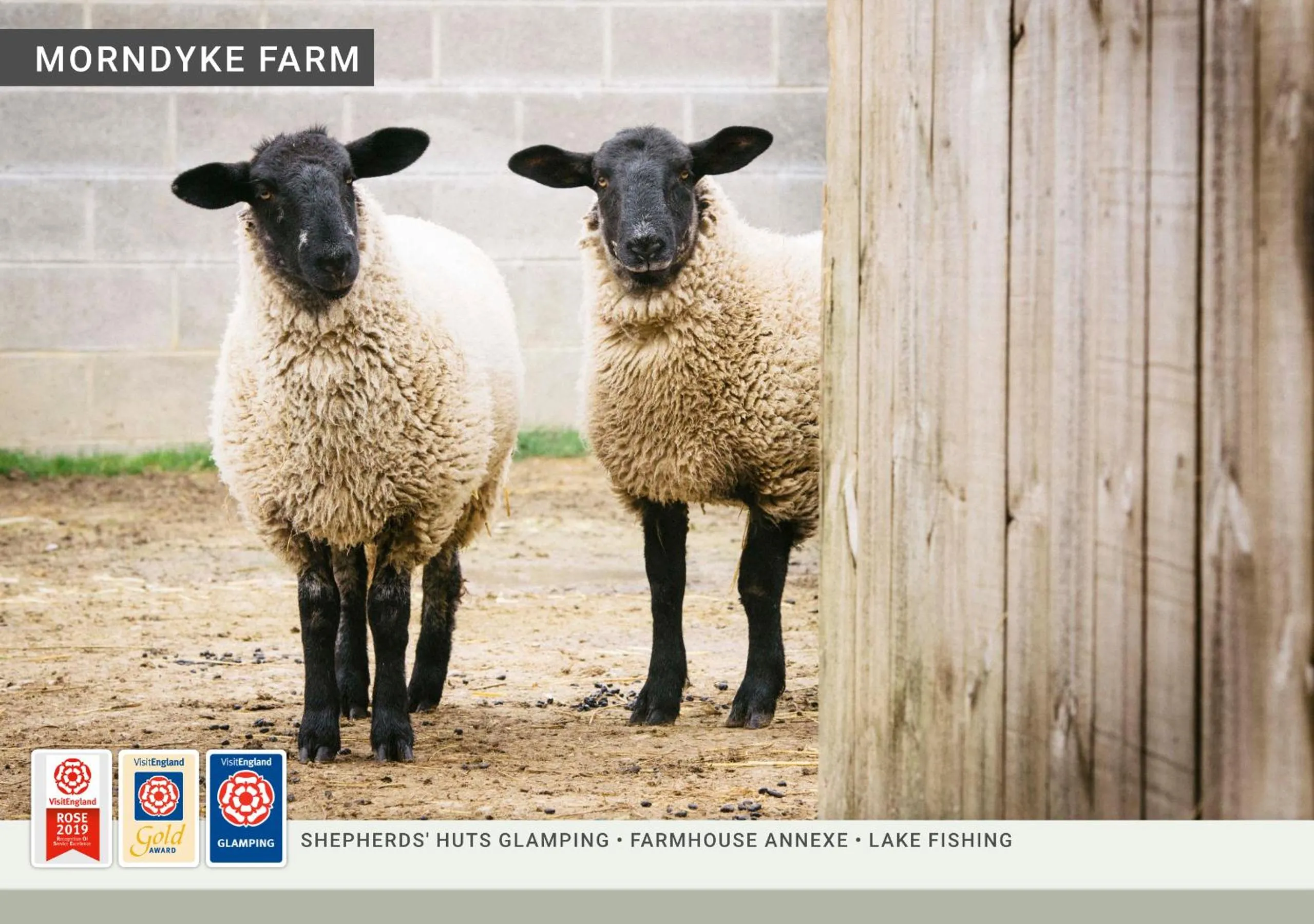 Animals in Morndyke Shepherds Huts