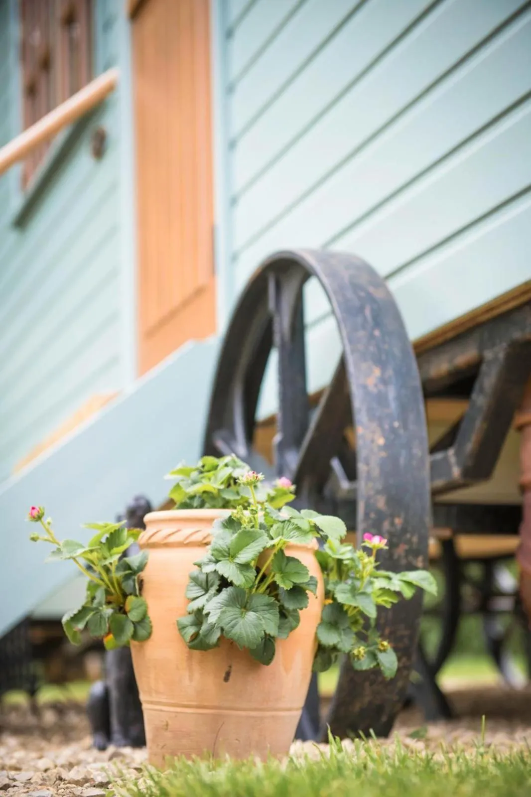 Property building in Morndyke Shepherds Huts