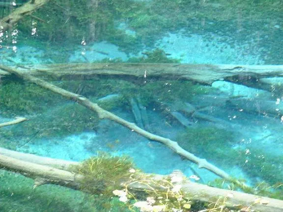 Other in Hotel Masyu