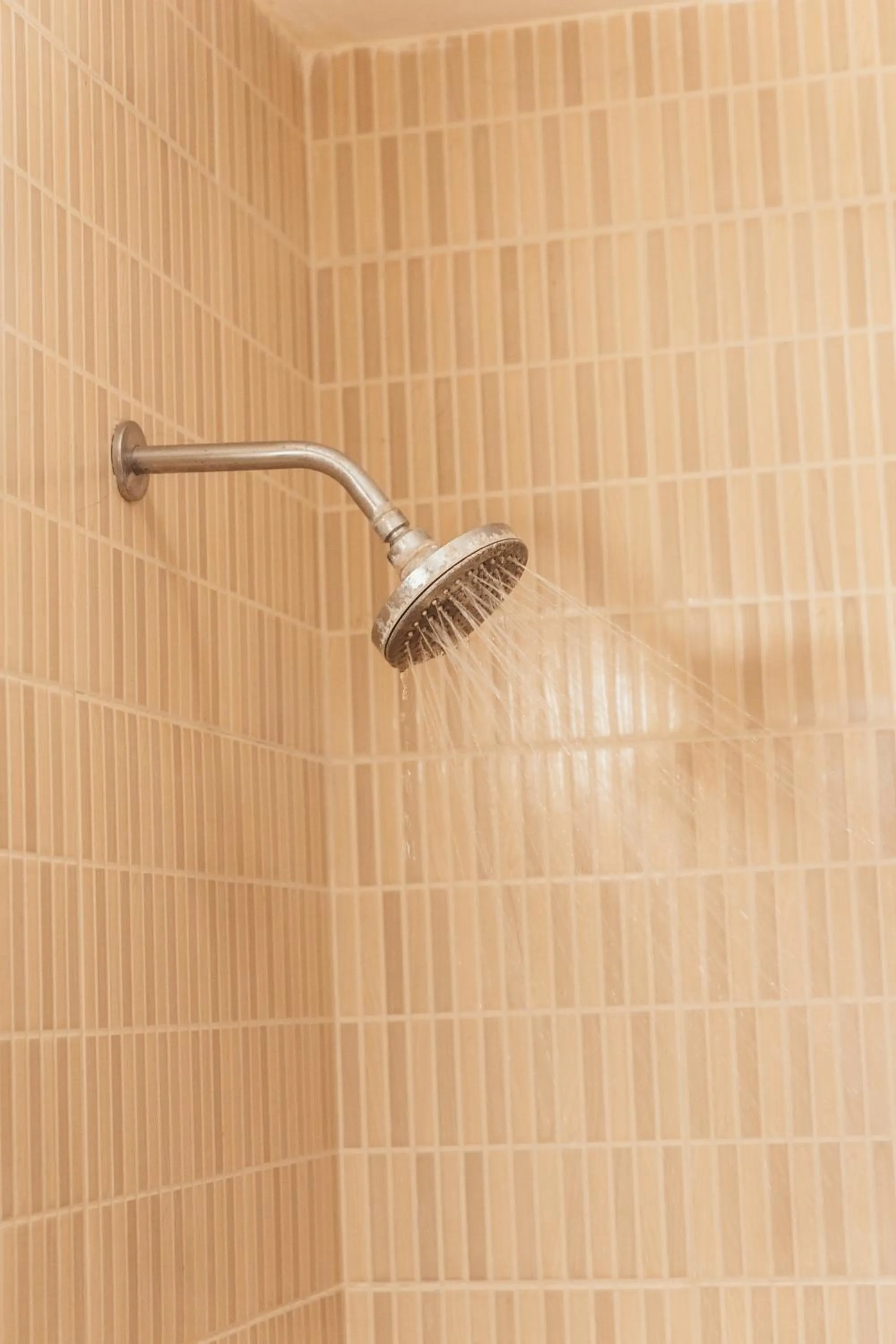 Jungle Safari Lodge- Serenity in the Wild