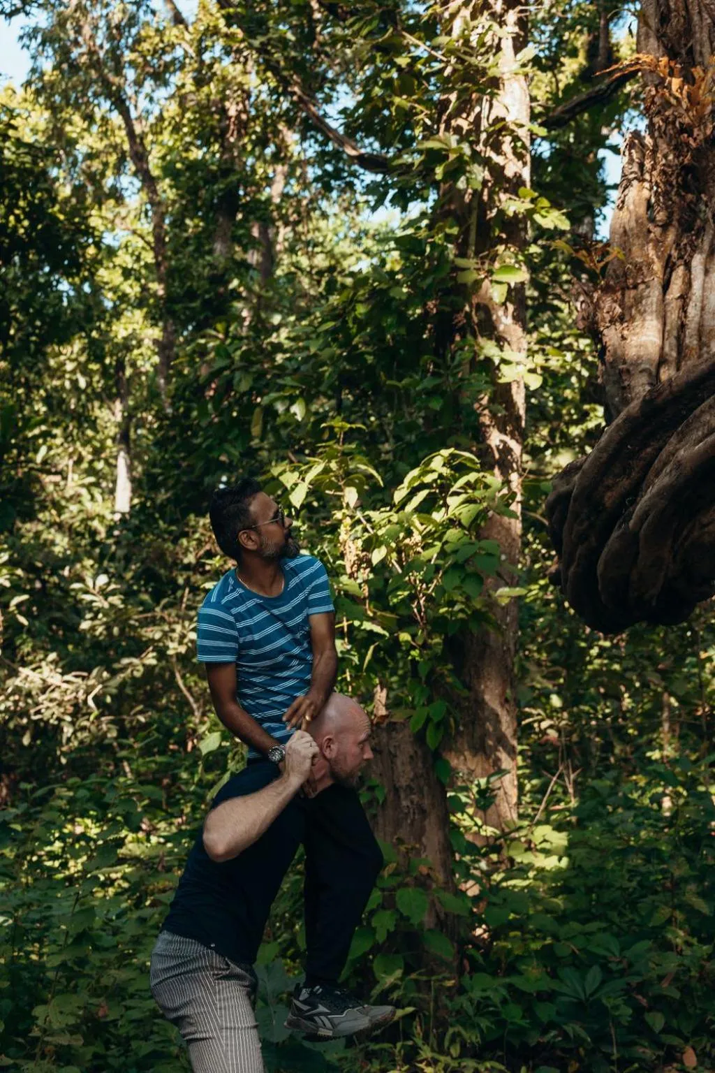 Jungle Safari Lodge- Serenity in the Wild