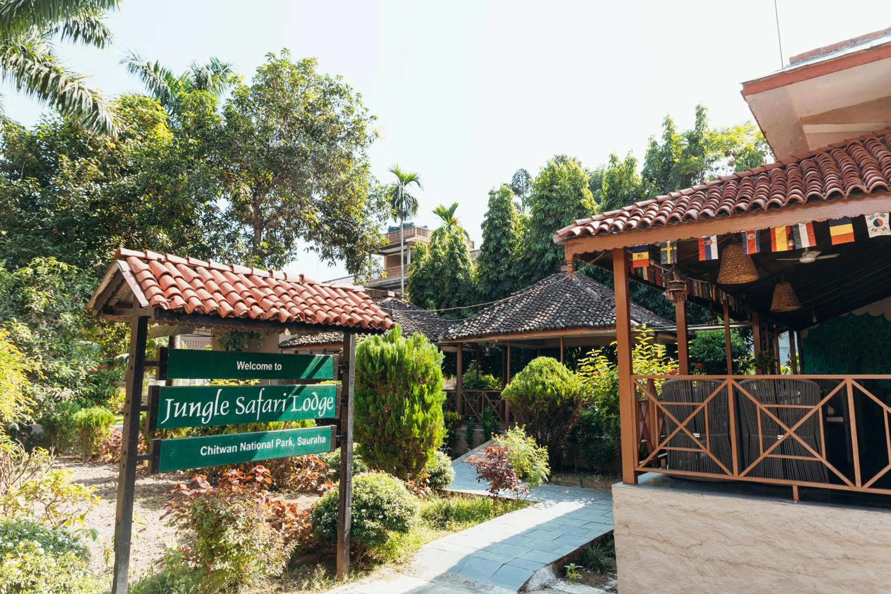 Jungle Safari Lodge- Serenity in the Wild