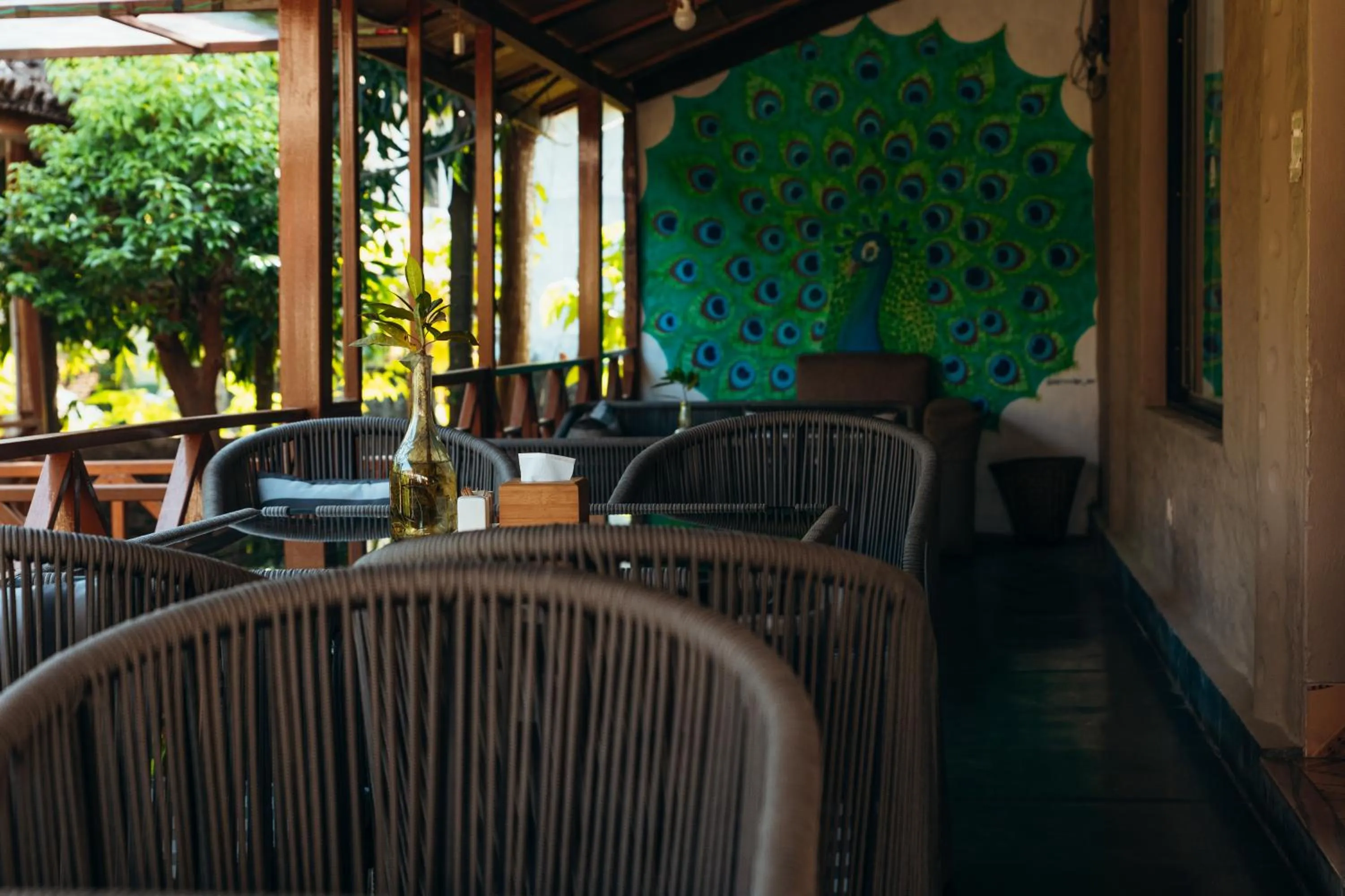 Jungle Safari Lodge- Serenity in the Wild