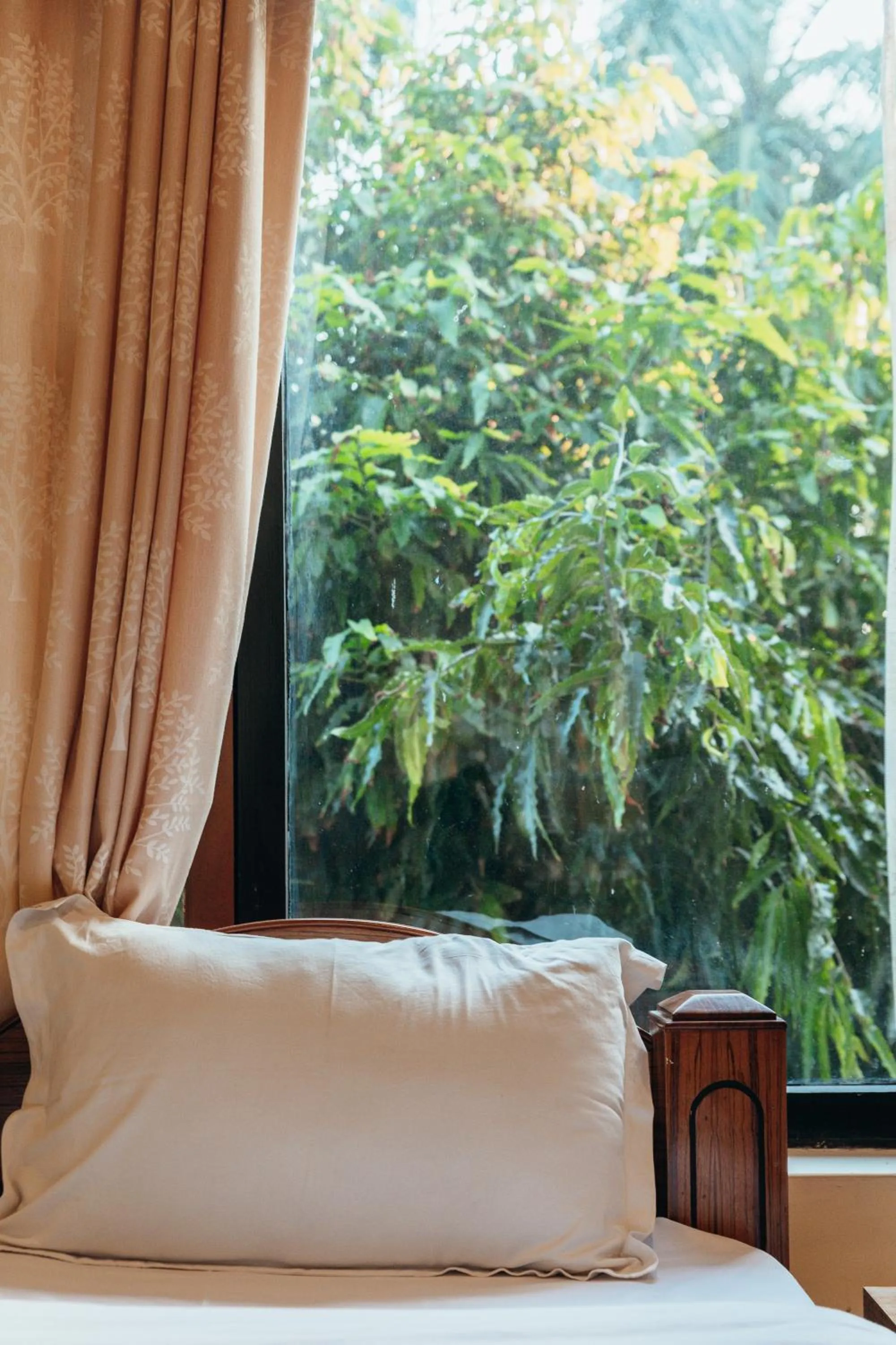 Jungle Safari Lodge- Serenity in the Wild