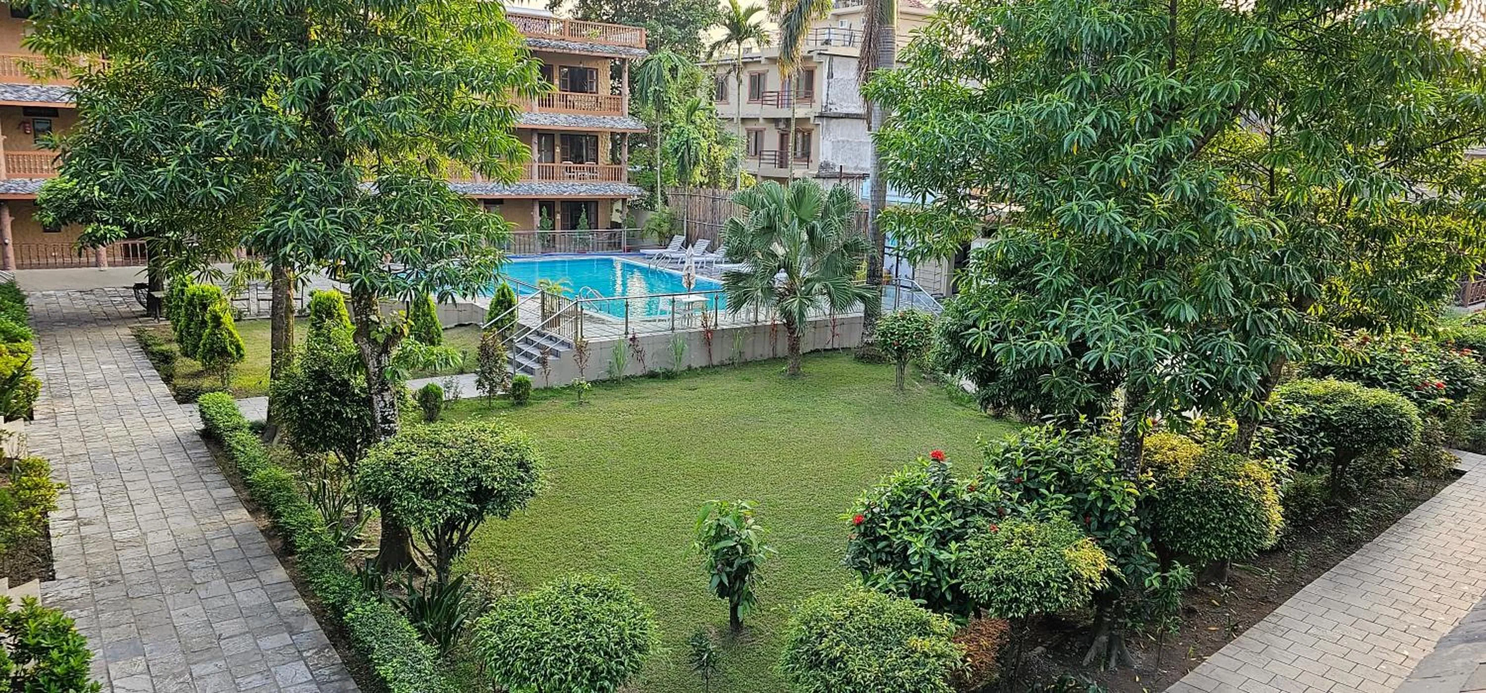 Jungle Safari Lodge- Serenity in the Wild