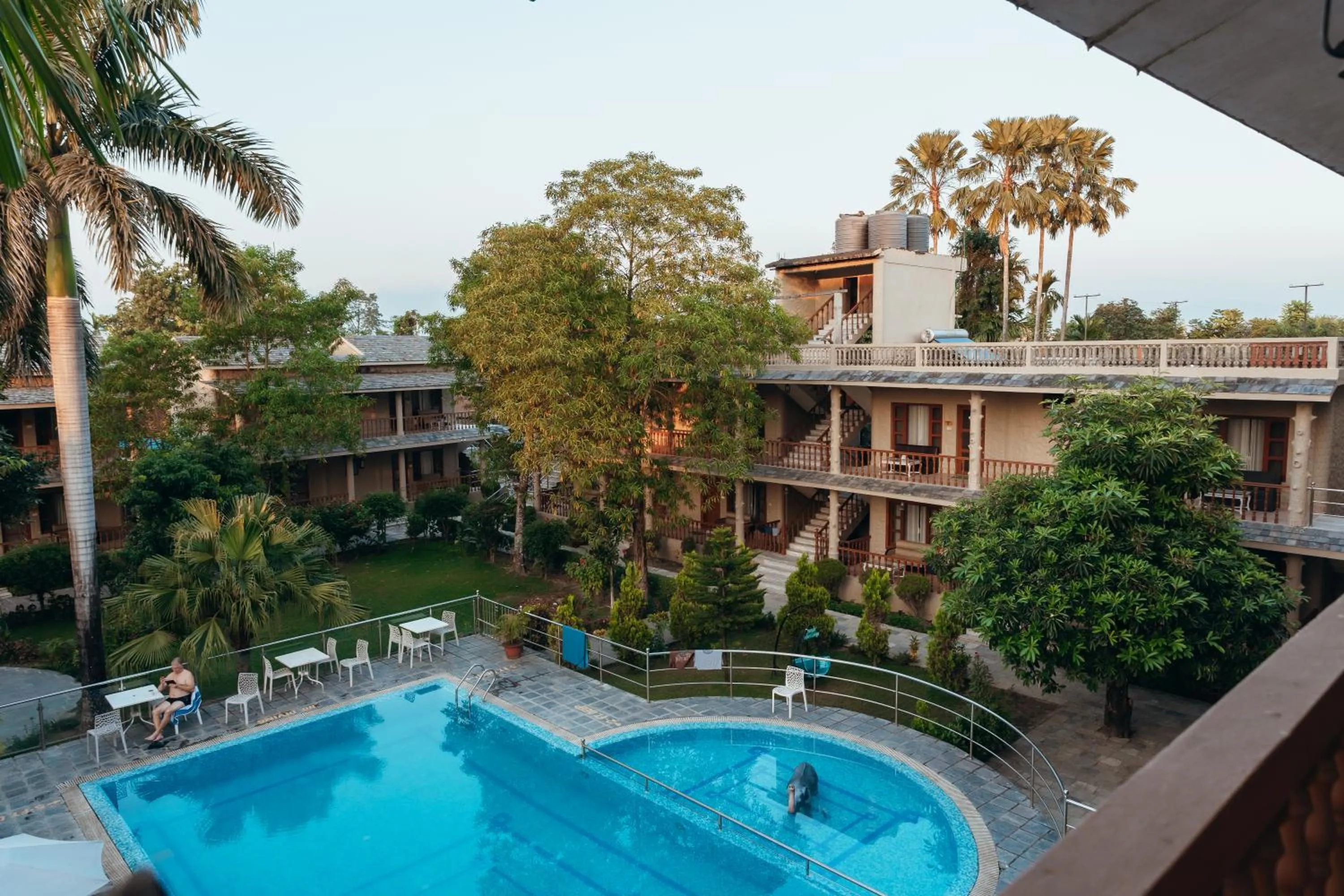 Jungle Safari Lodge- Serenity in the Wild