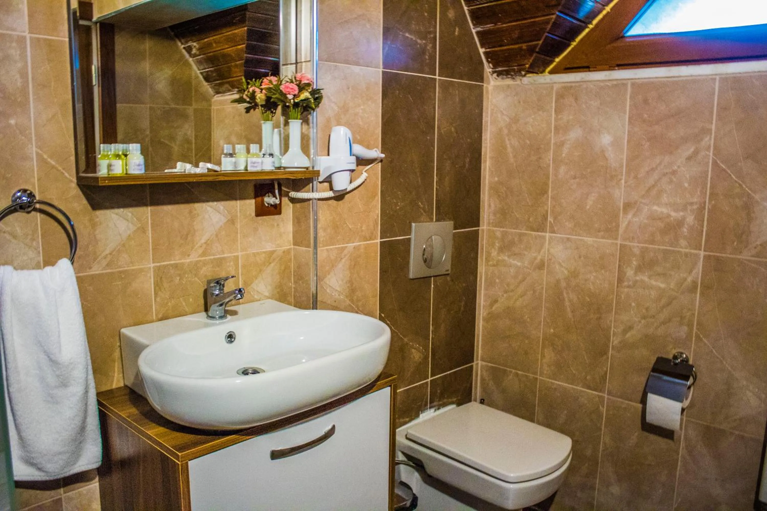 Toilet in Form Thermal Hotel & SPA Kaz Dağları