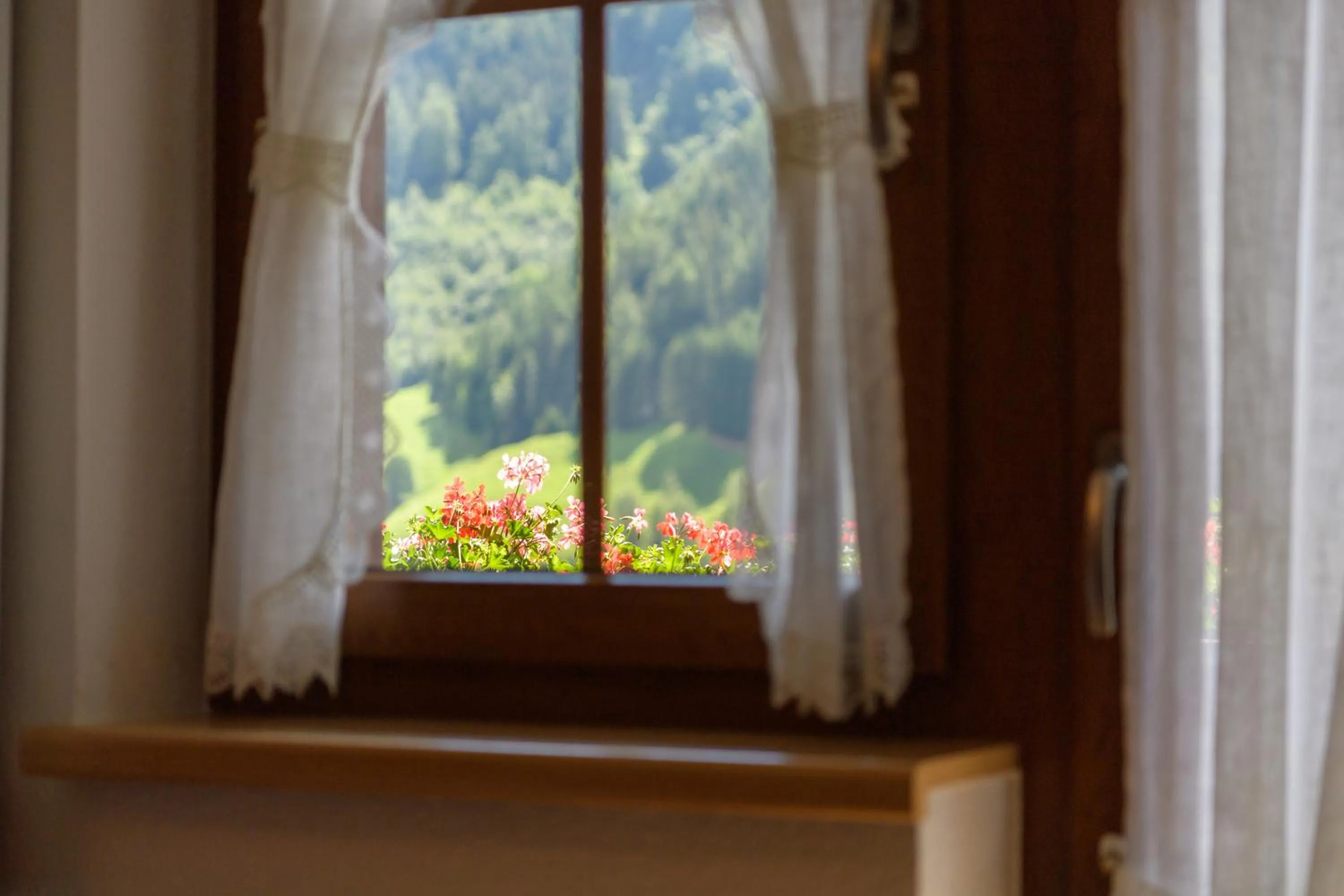 View (from property/room) in Landhaus Strolz