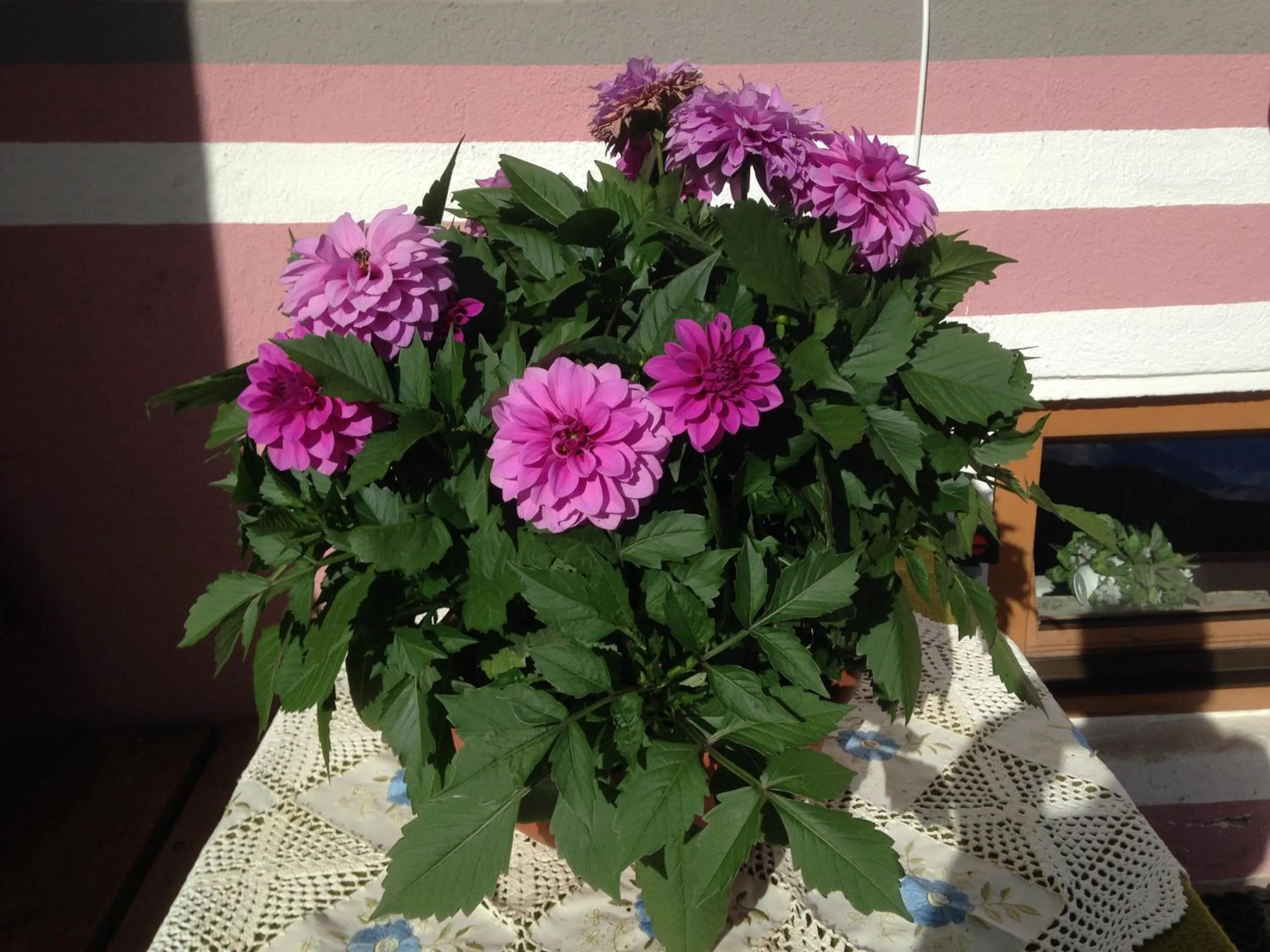 Decorative detail in Hotel Garni Schönblick