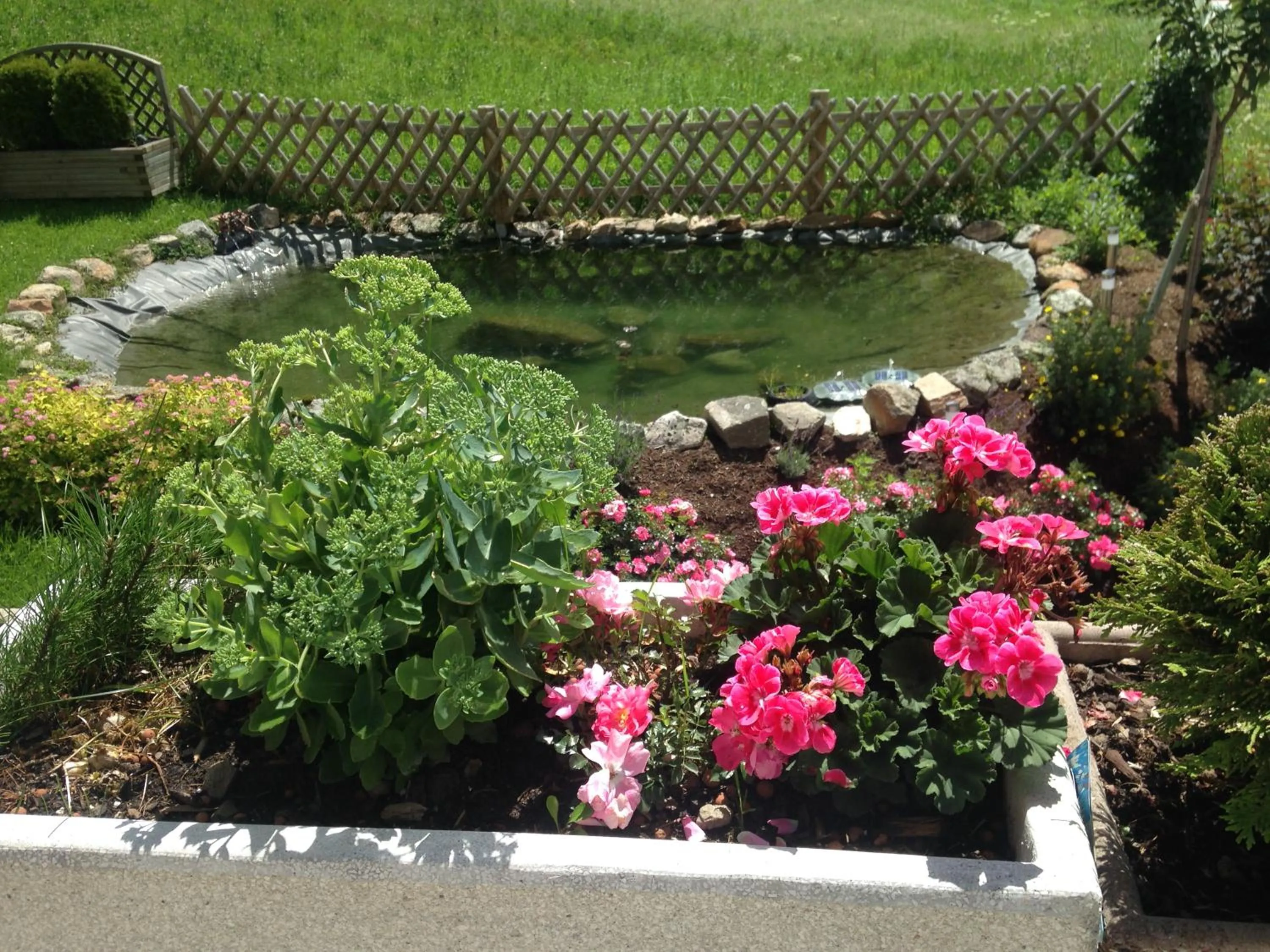 Summer in Hotel Garni Schönblick