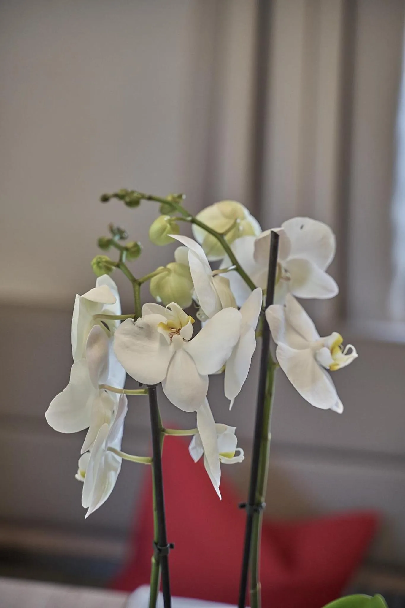 Decorative detail in Hotel Garni Schönblick