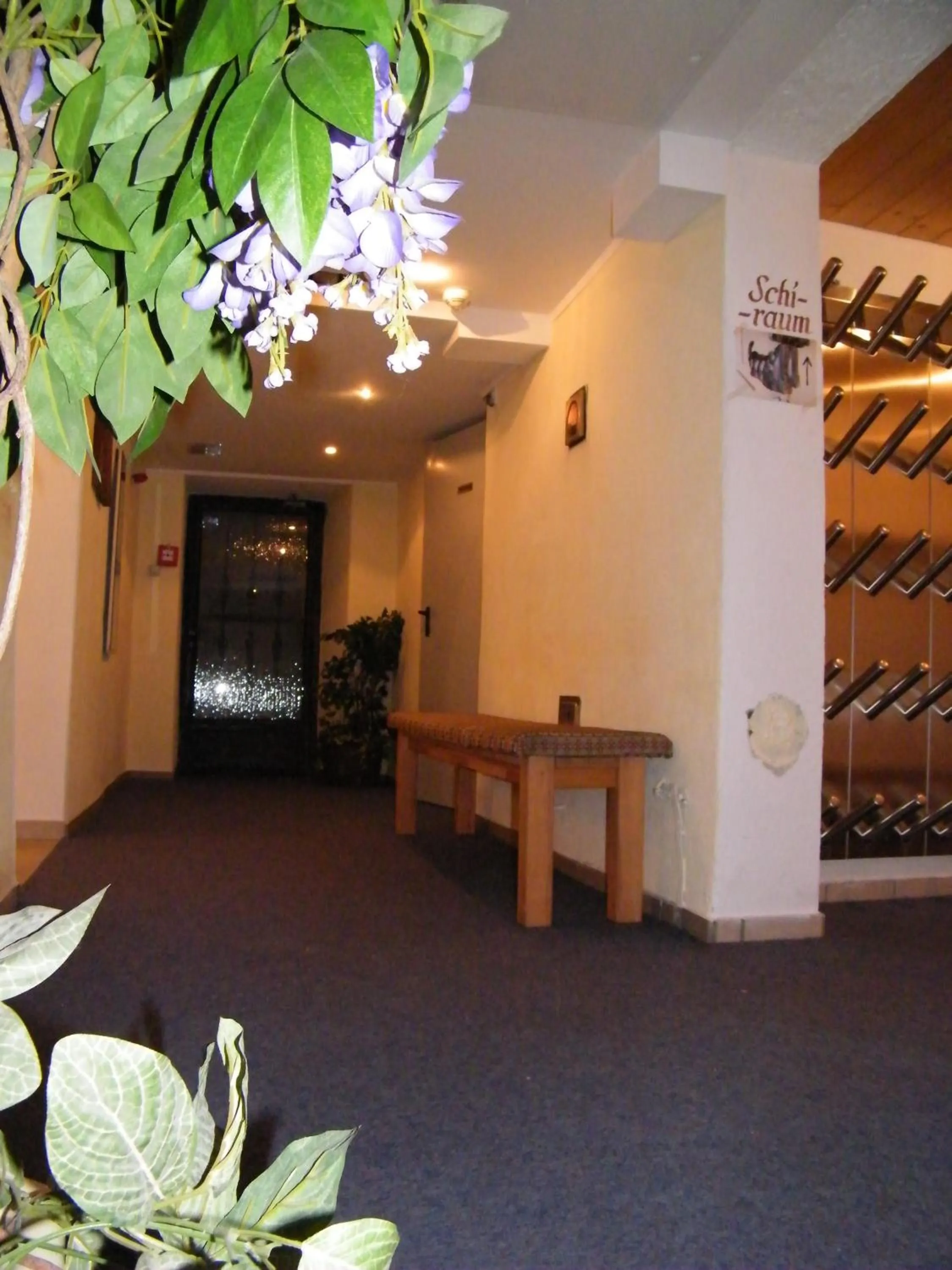 Area and facilities in Hotel Garni Schönblick