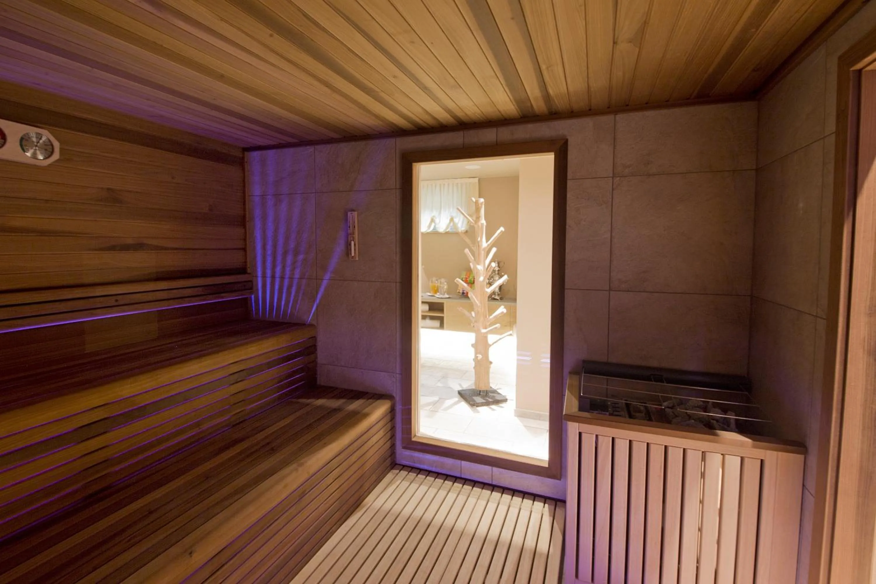 Spa and wellness centre/facilities in Hotel Ambassador