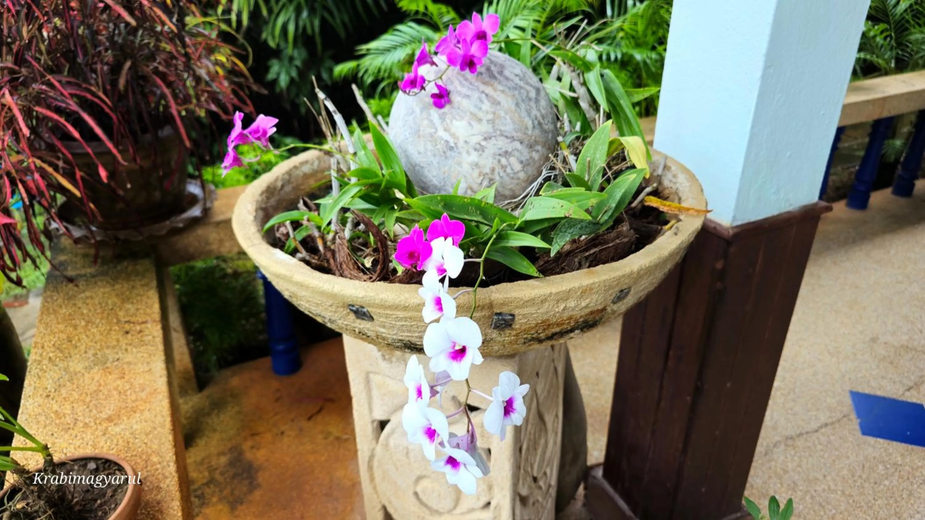 Restaurant/places to eat in Sabai Resort