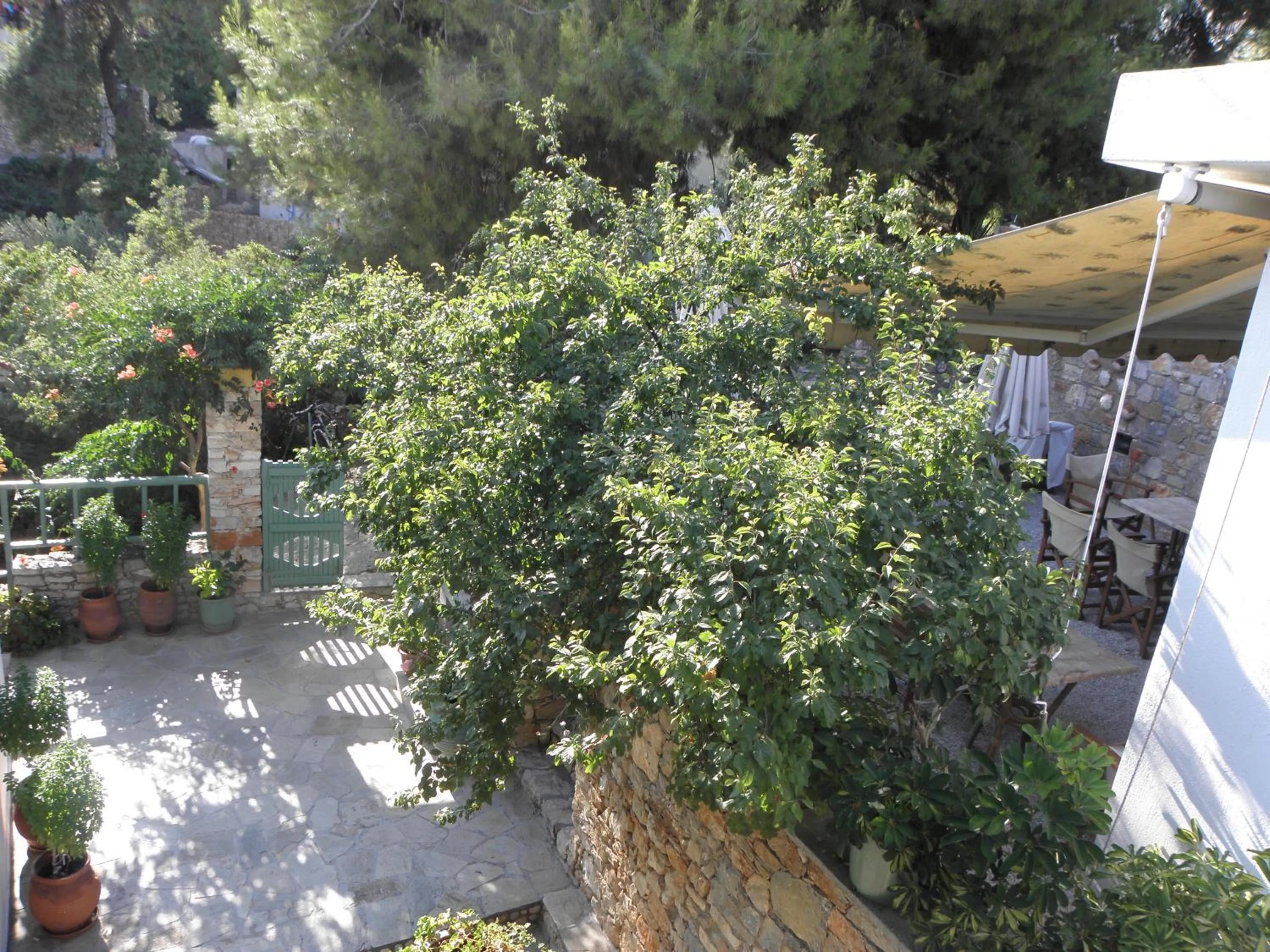Garden view in Pension Votsi