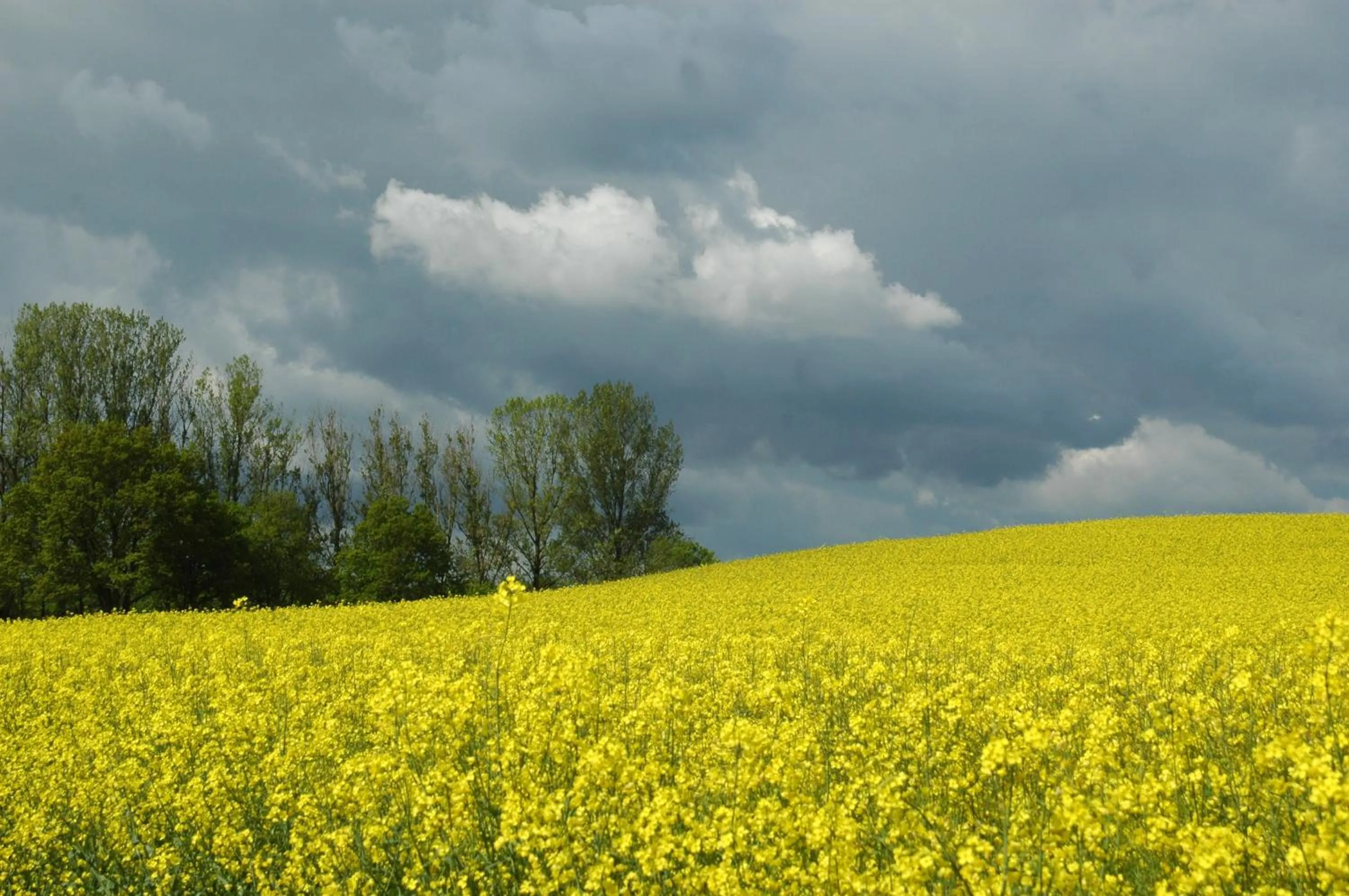Other in Haus am Meer