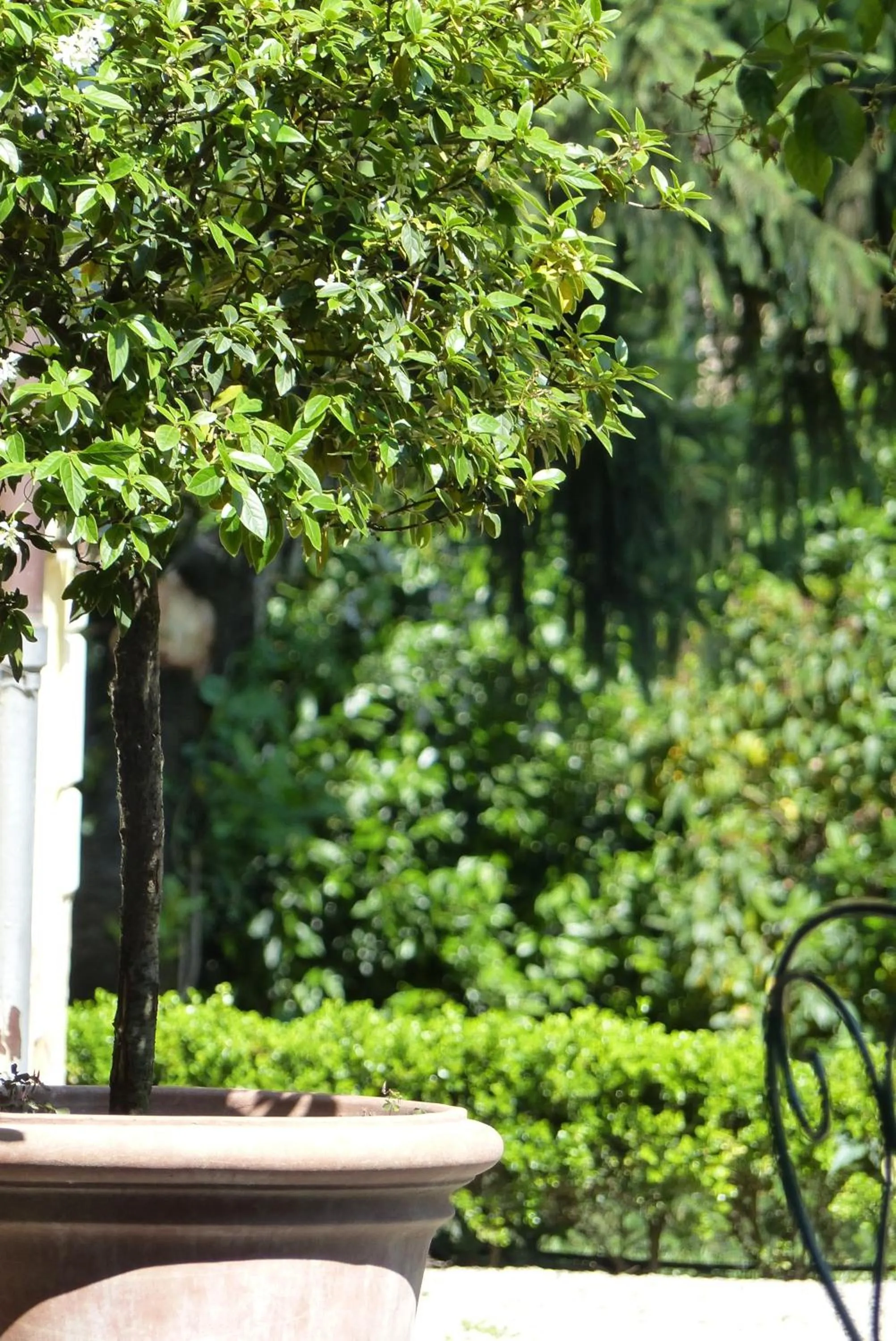 Garden in Villino di Porporano