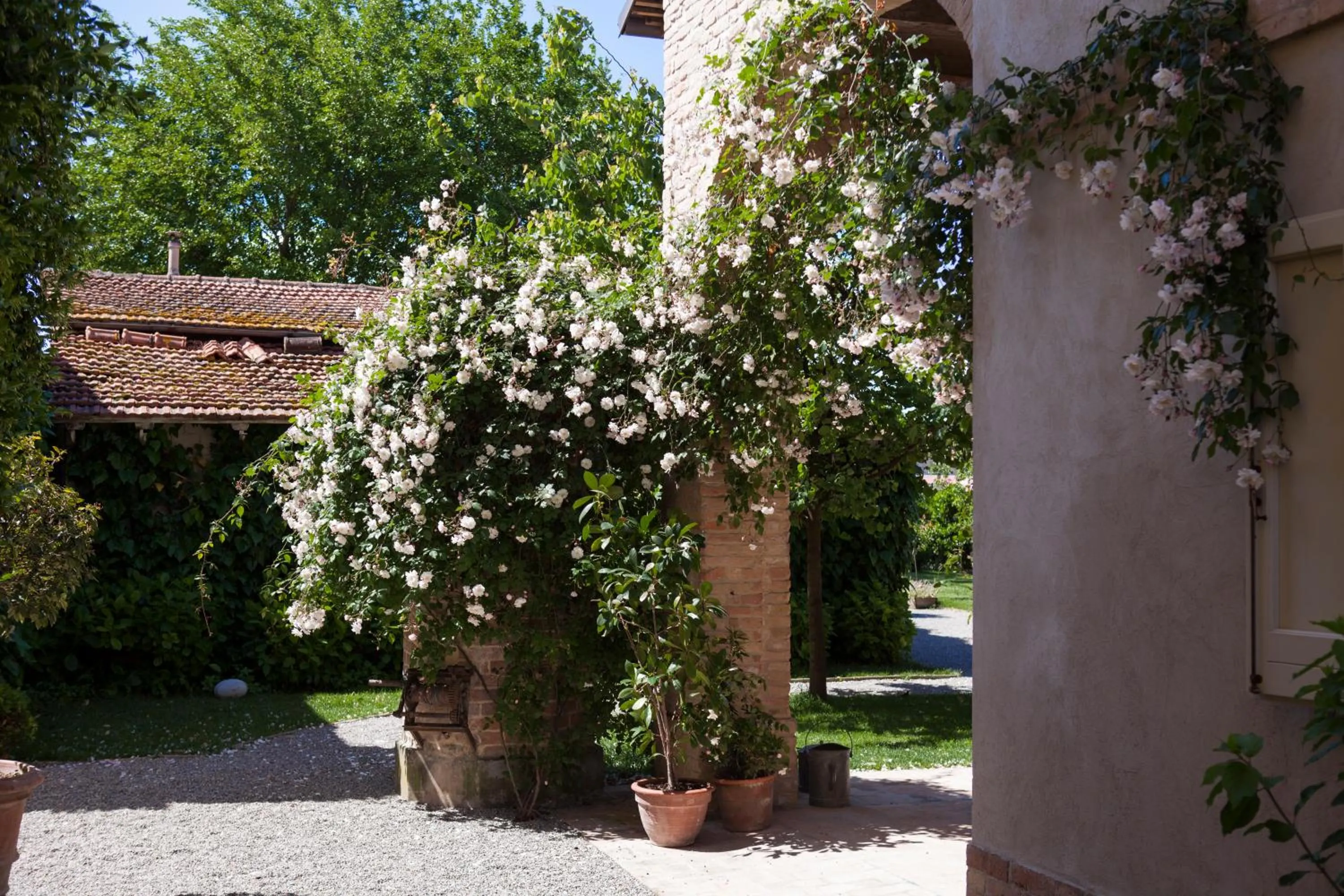 Garden in Villino di Porporano