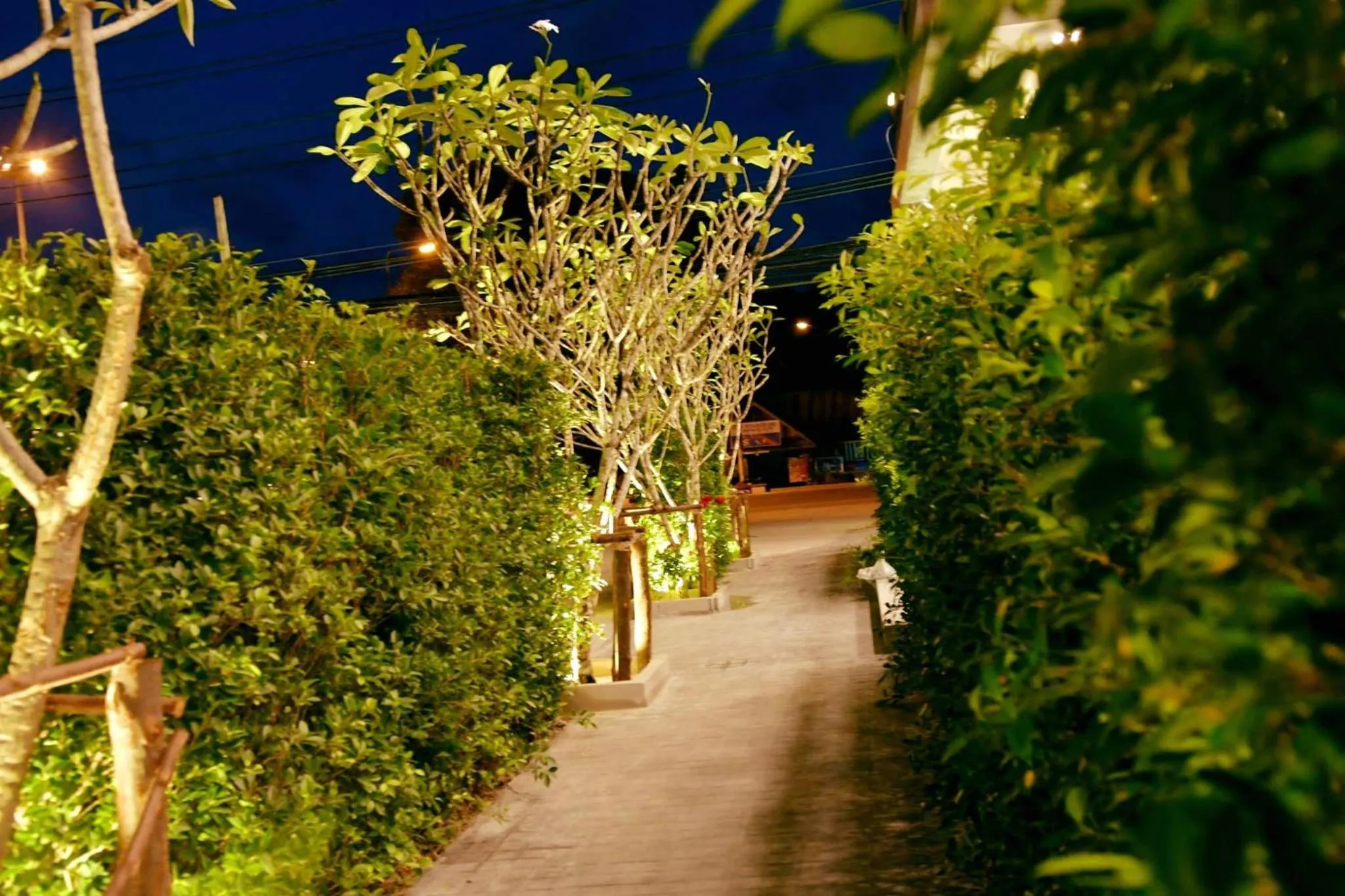 Natural landscape in Baan Yamoo Ranong