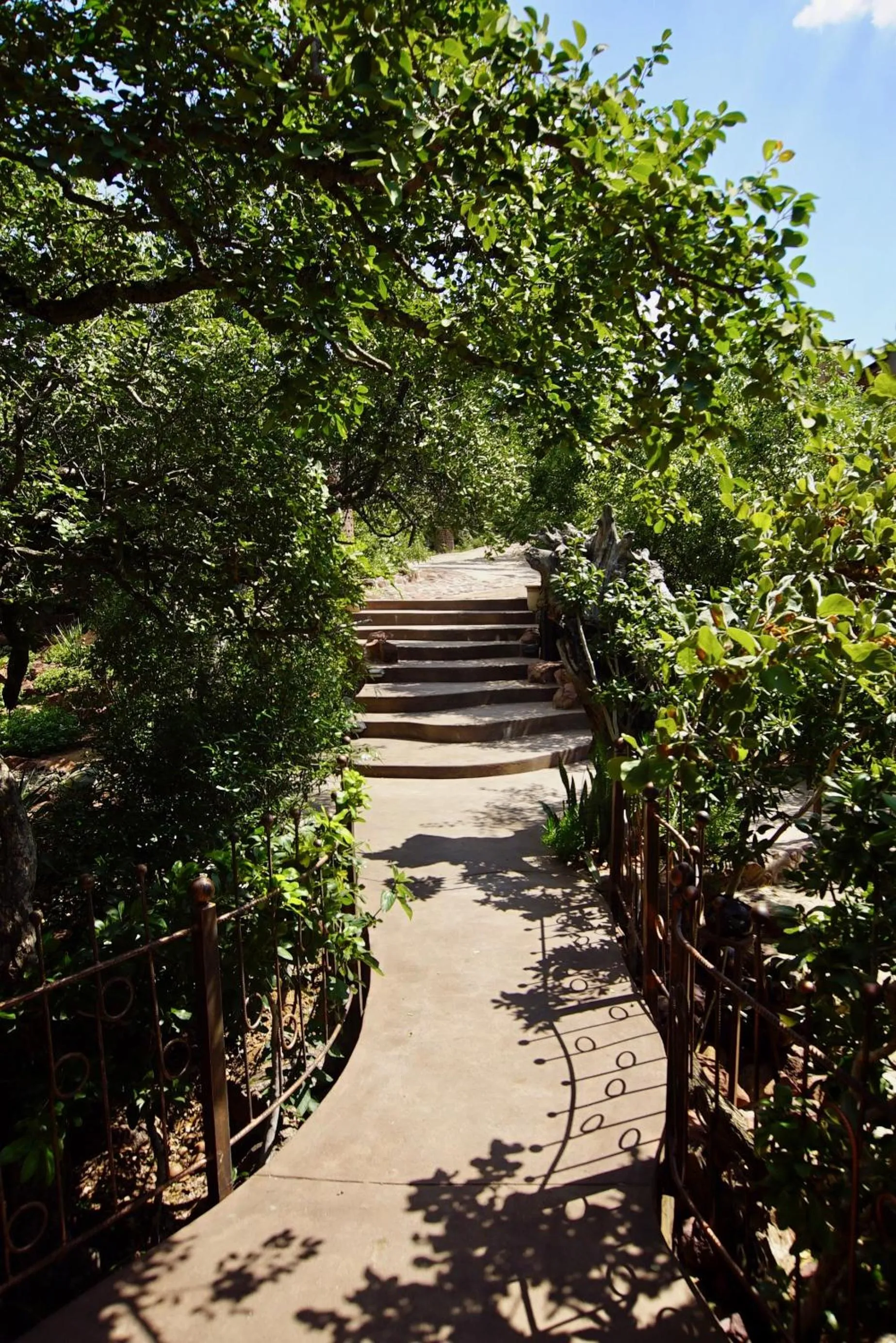 Spring in Leopards Rock Bush Boutique