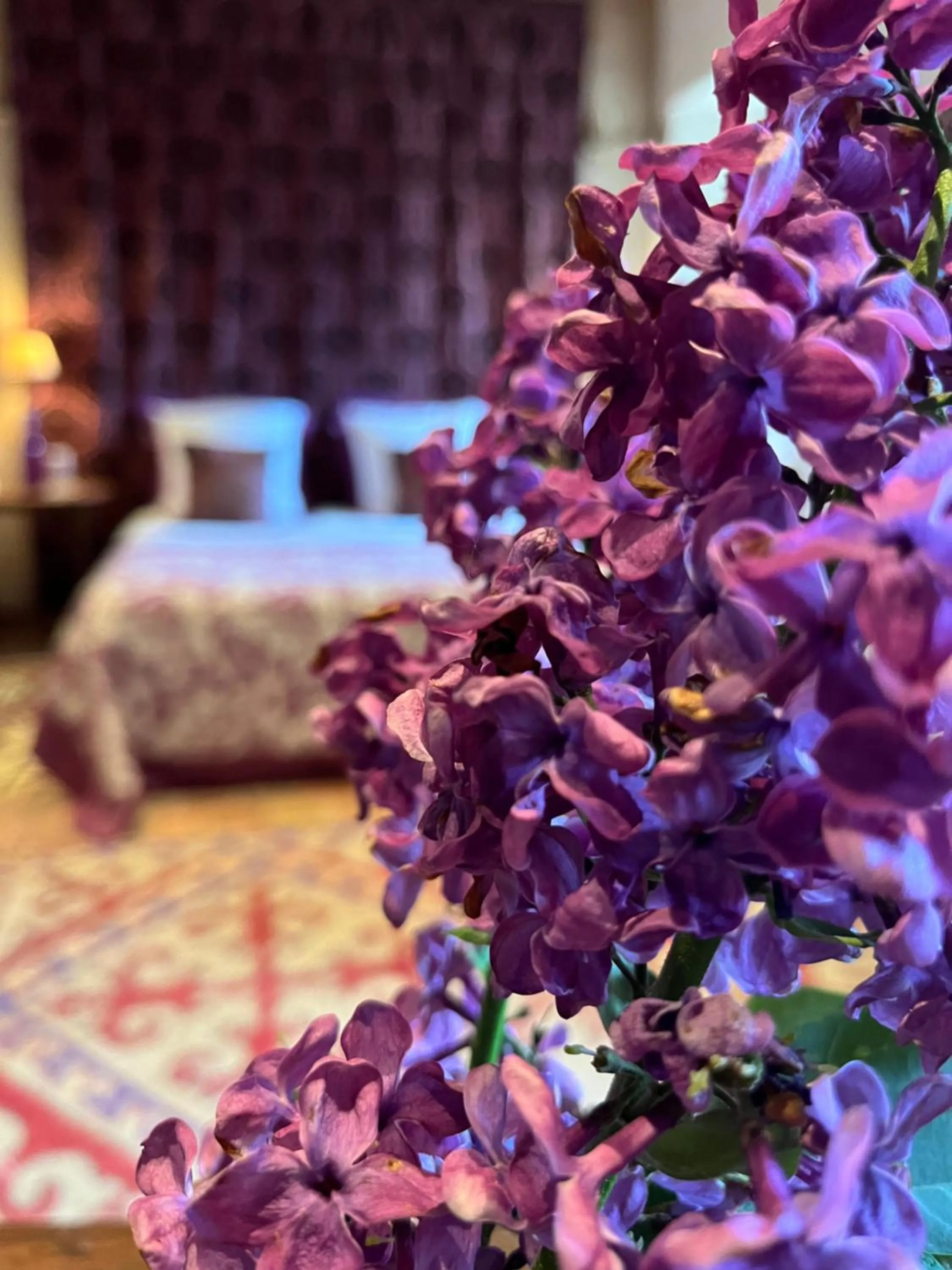 Bedroom, Bed in Hôtel du Château du Rivau
