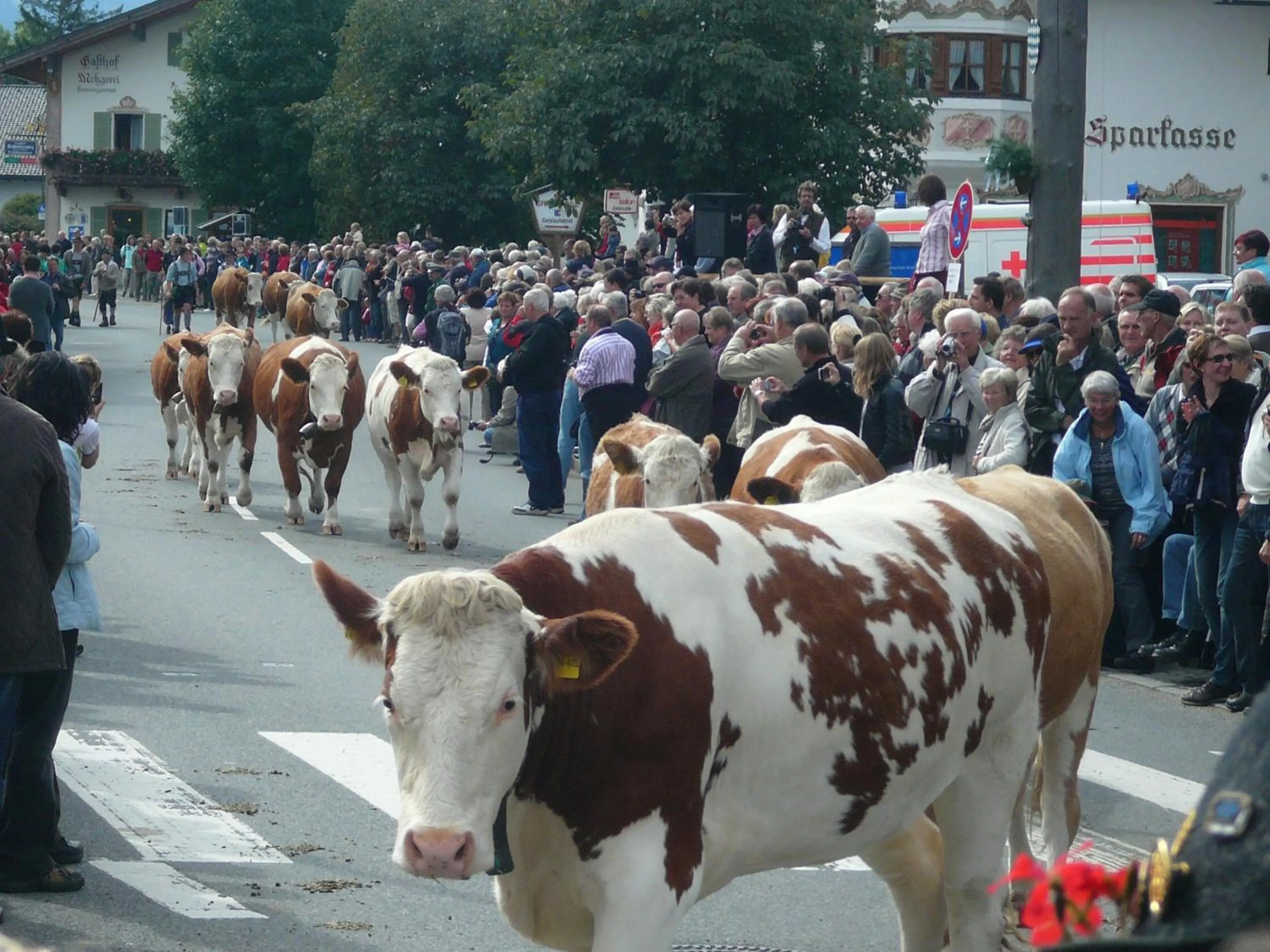 Other in Gästehaus Alpvital