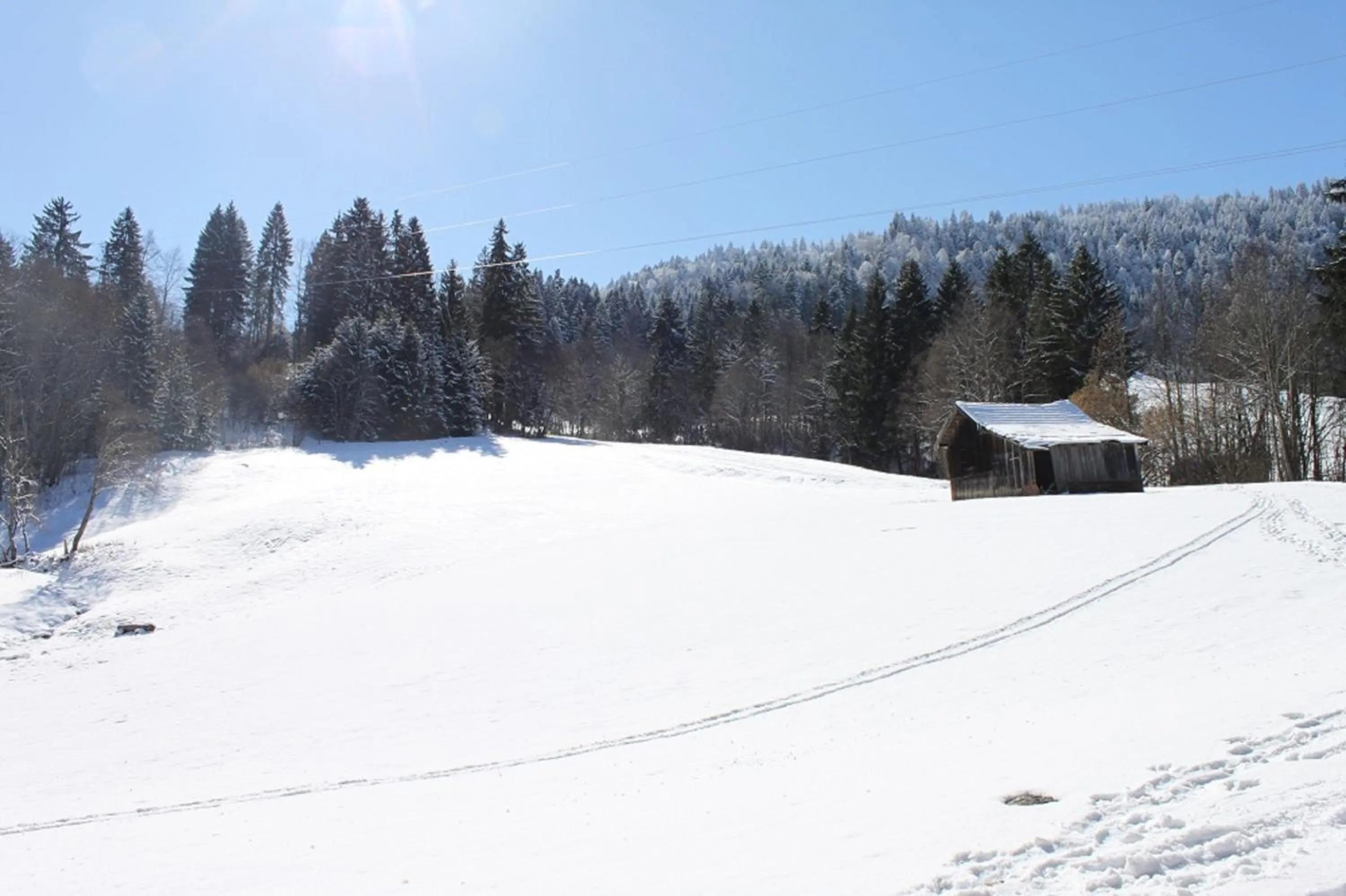 Skiing in Gästehaus Alpvital