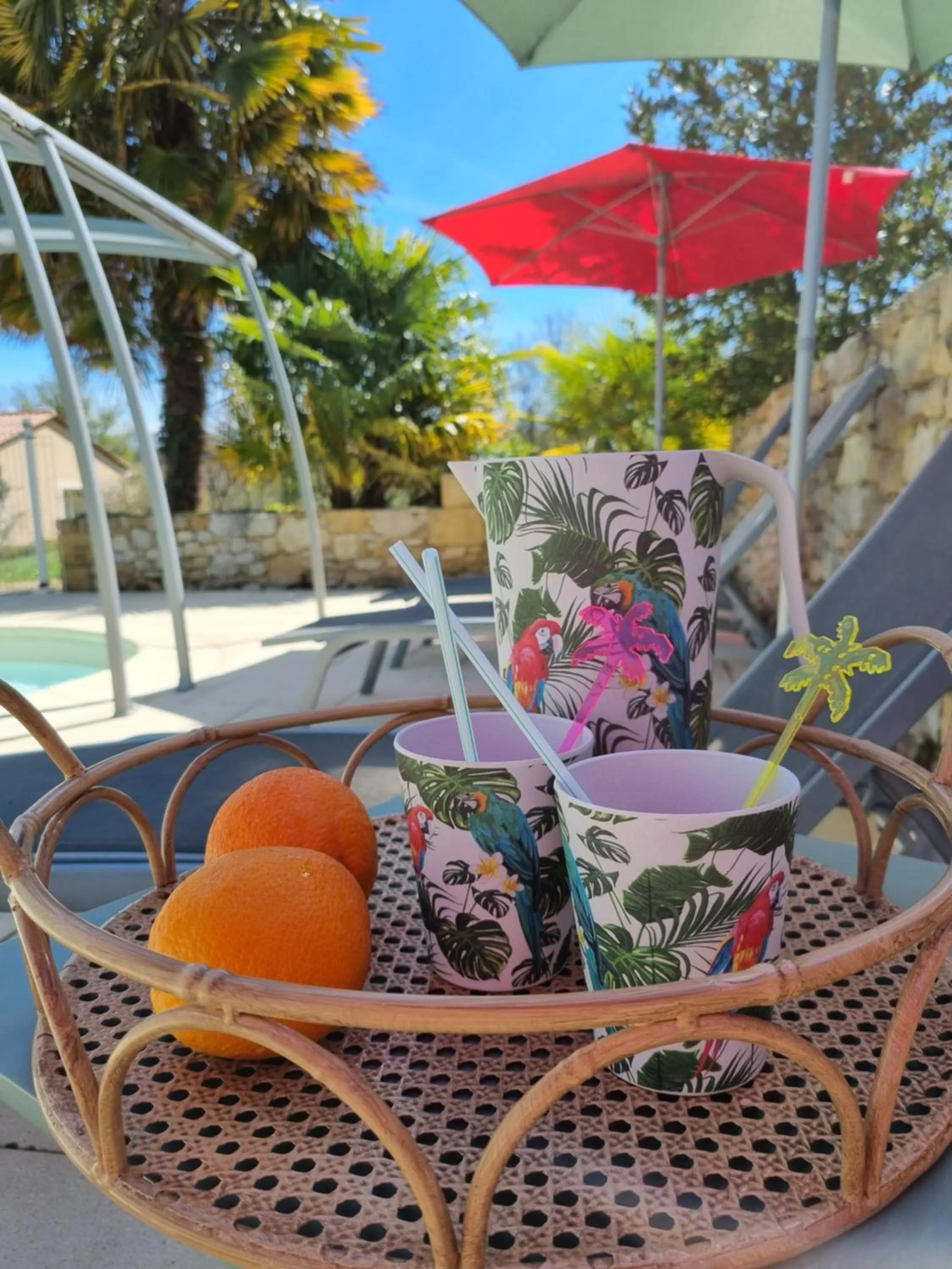 Swimming pool in Les Chenes Rouges