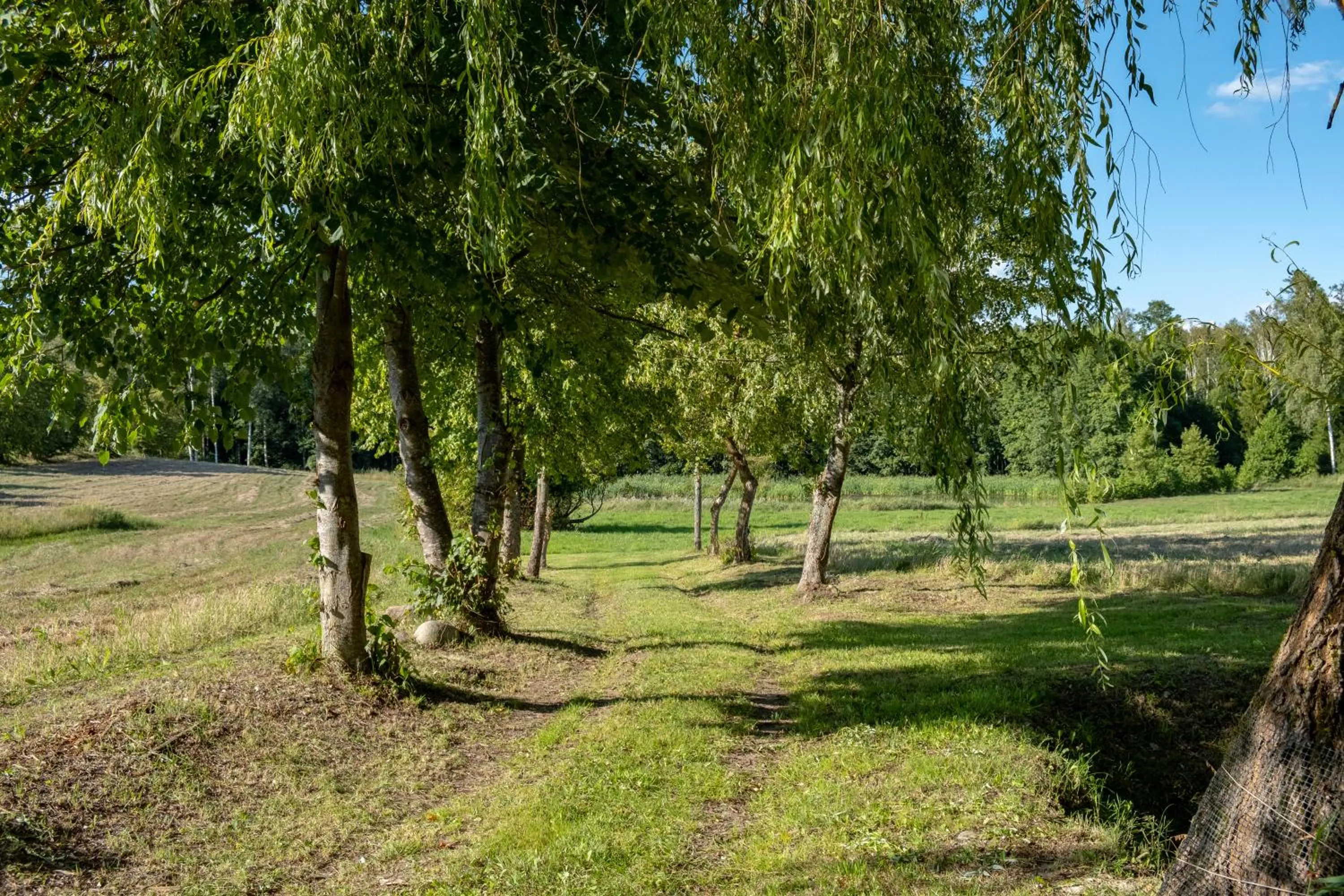 Siedlisko Leszczewek