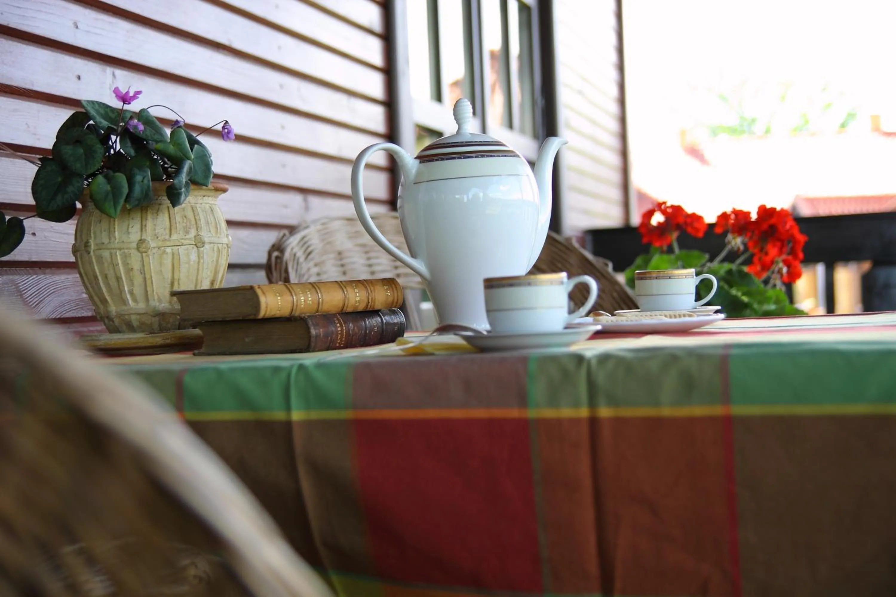 Day in Siedlisko Leszczewek