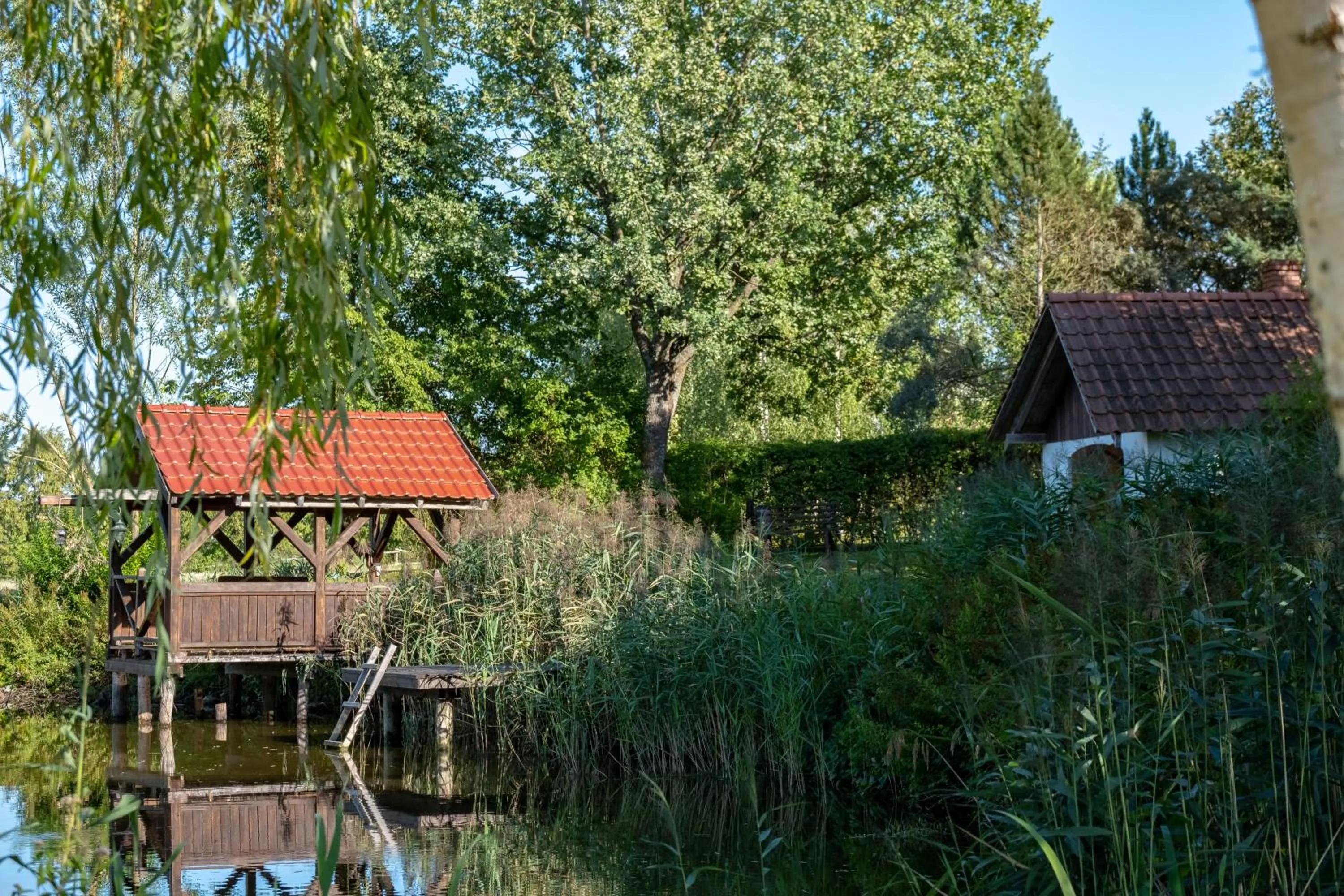 Siedlisko Leszczewek