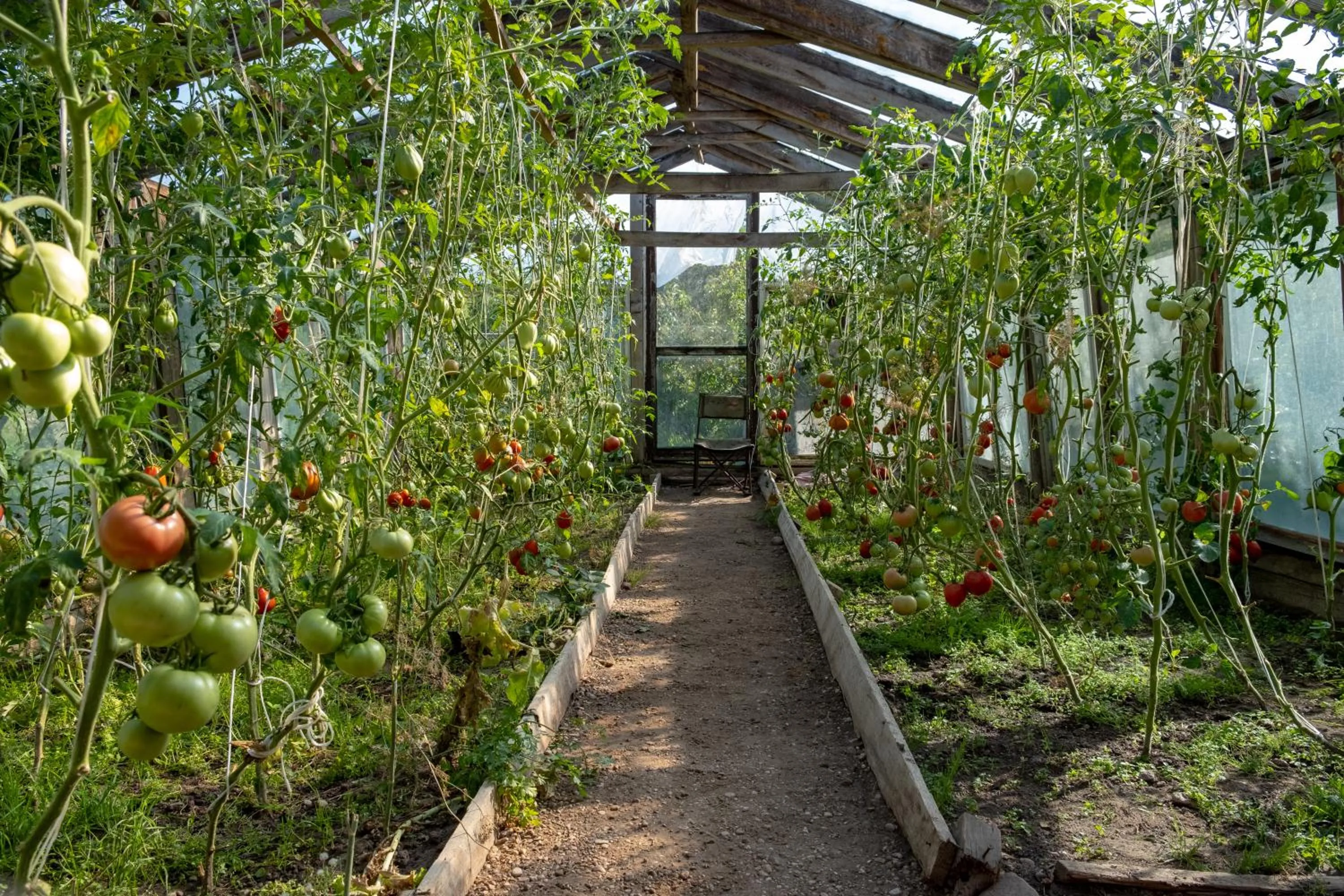 Siedlisko Leszczewek