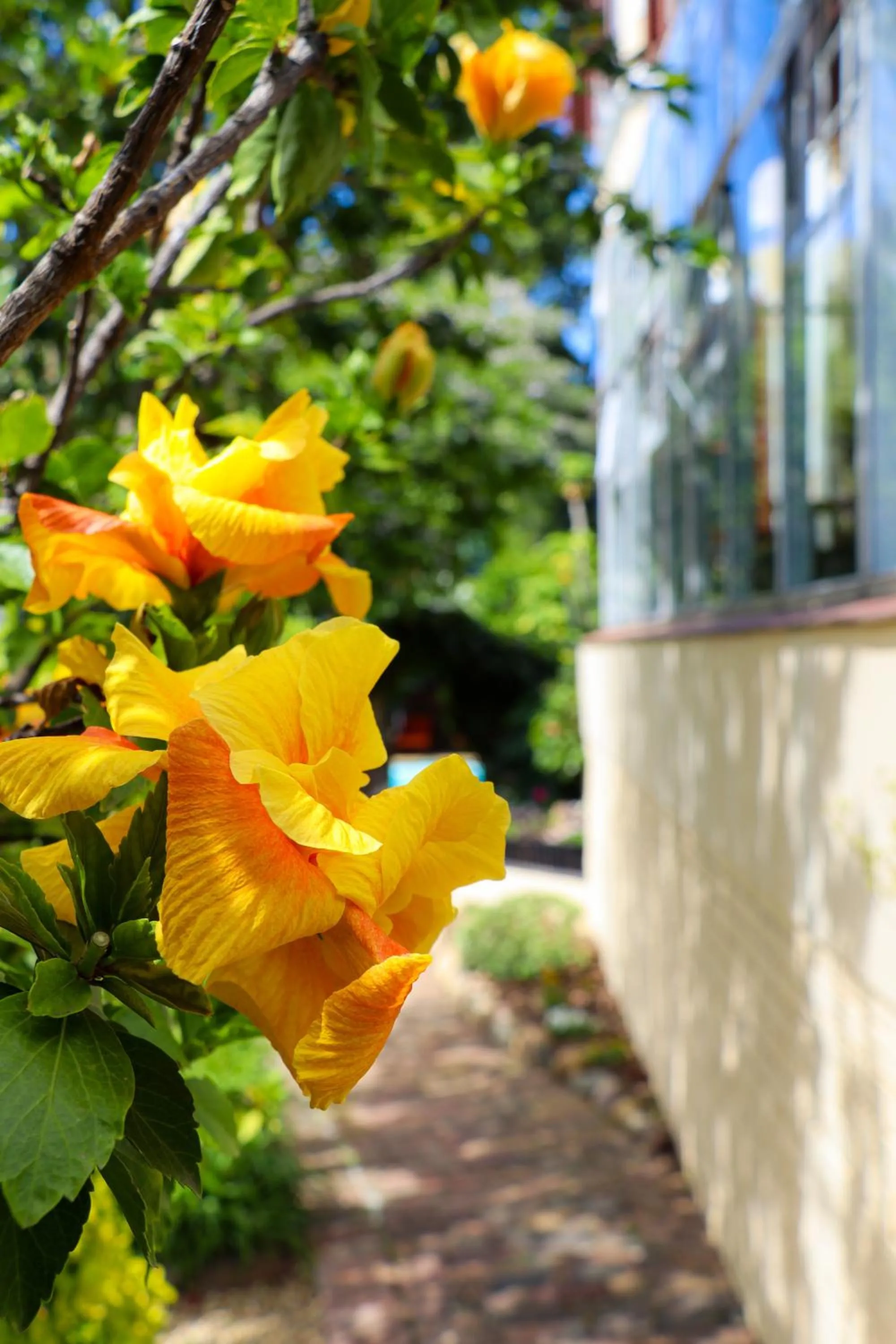 Property building in Carmichael House Boutique Hotel