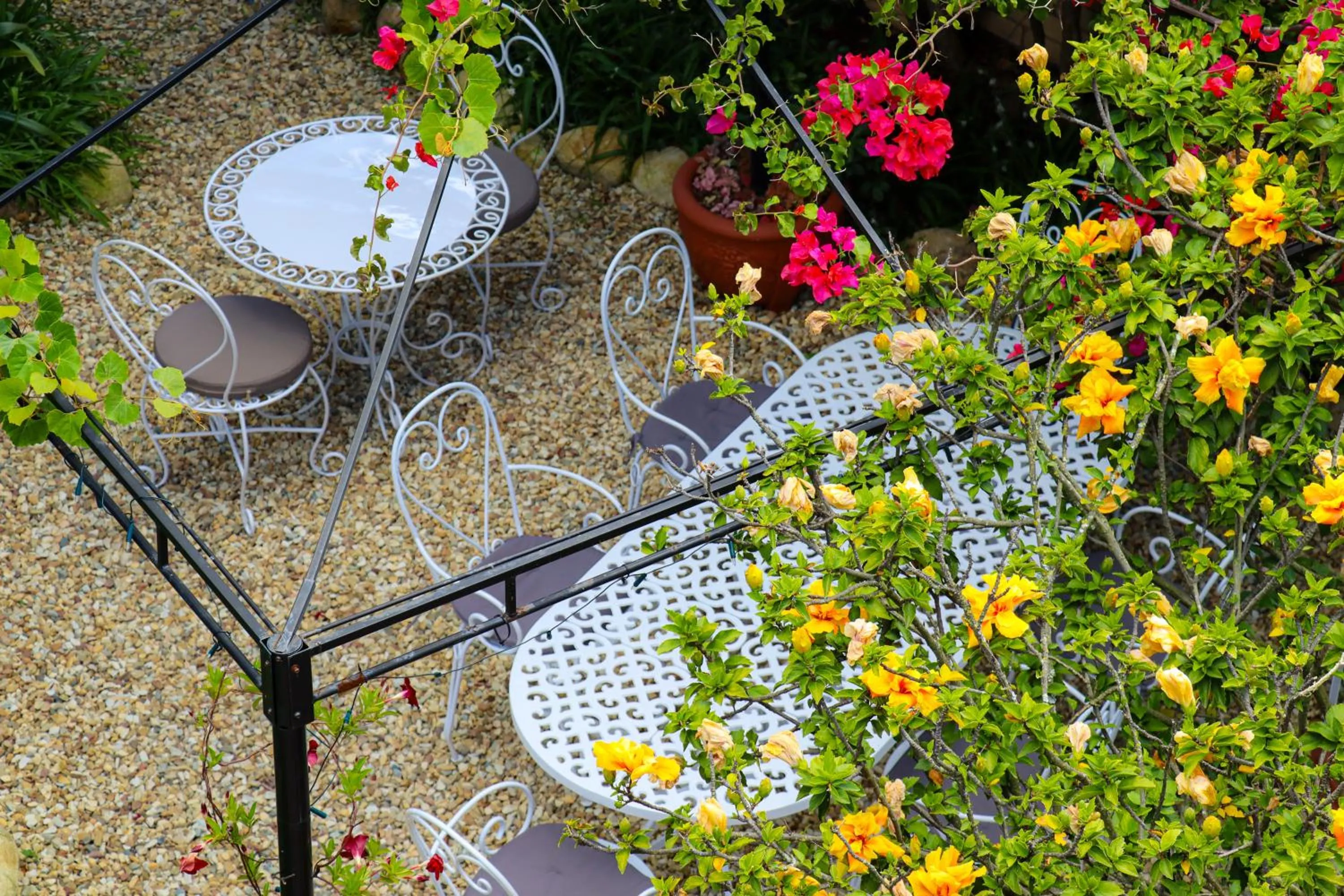 Spring in Carmichael House Boutique Hotel