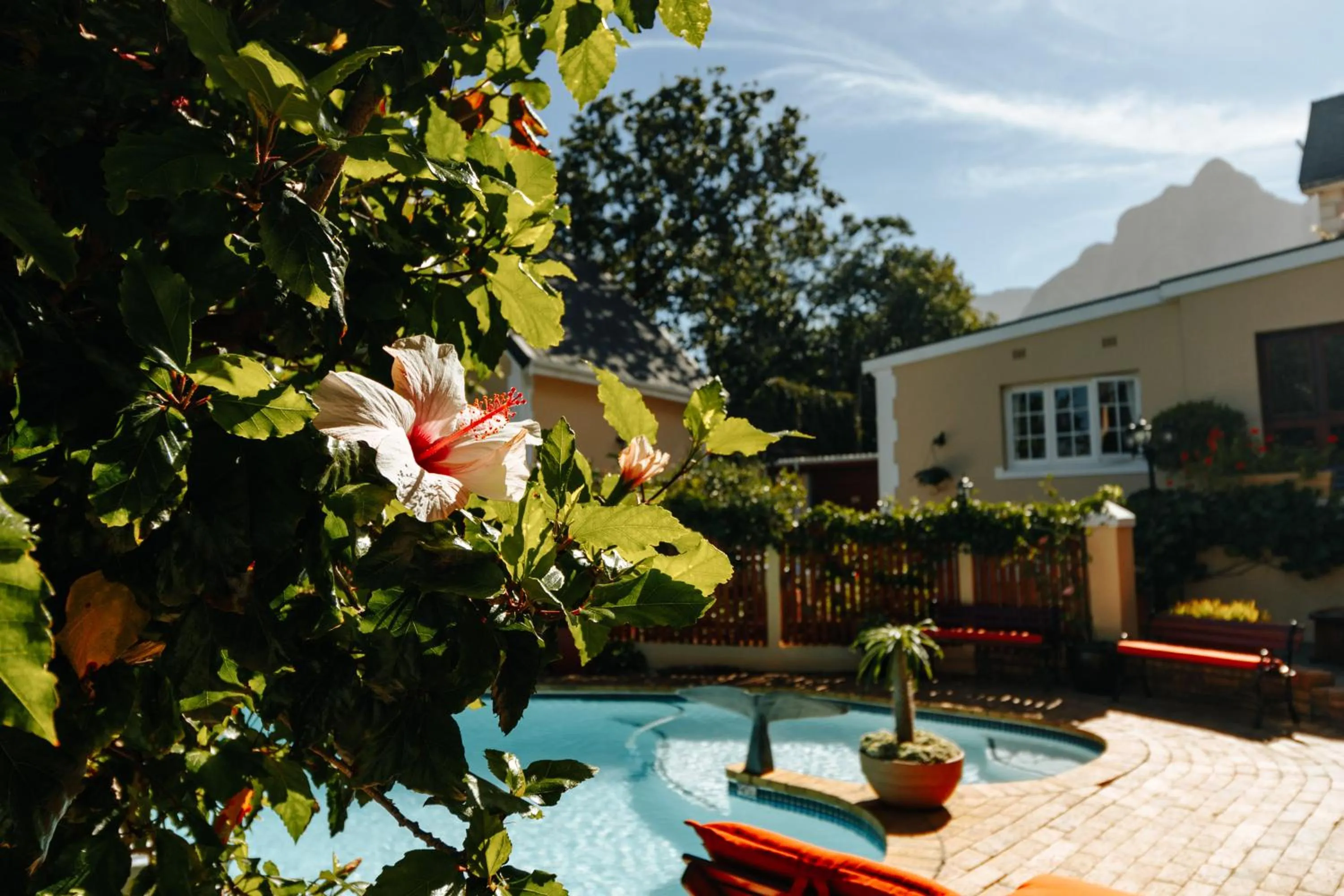 Mountain view in Carmichael House Boutique Hotel