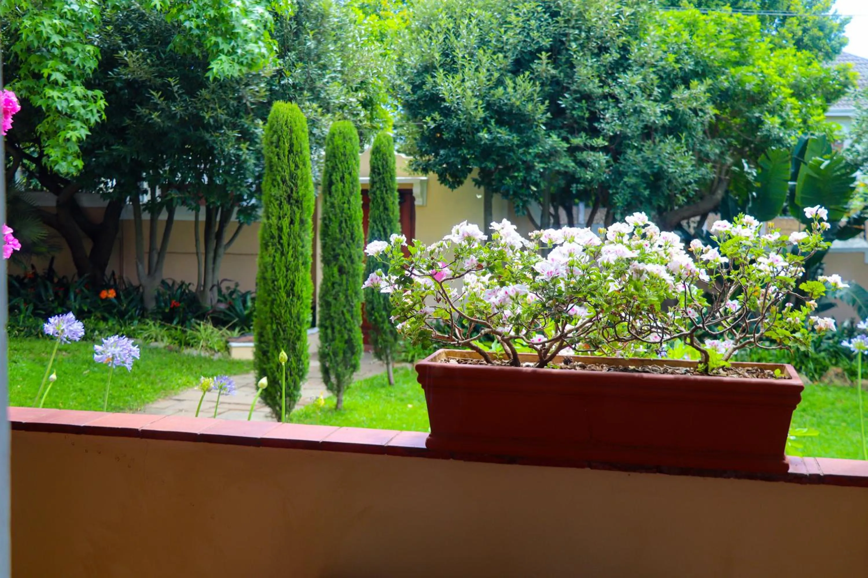 Patio in Carmichael House Boutique Hotel