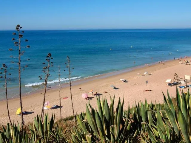 Beach in Villa Esmeralda