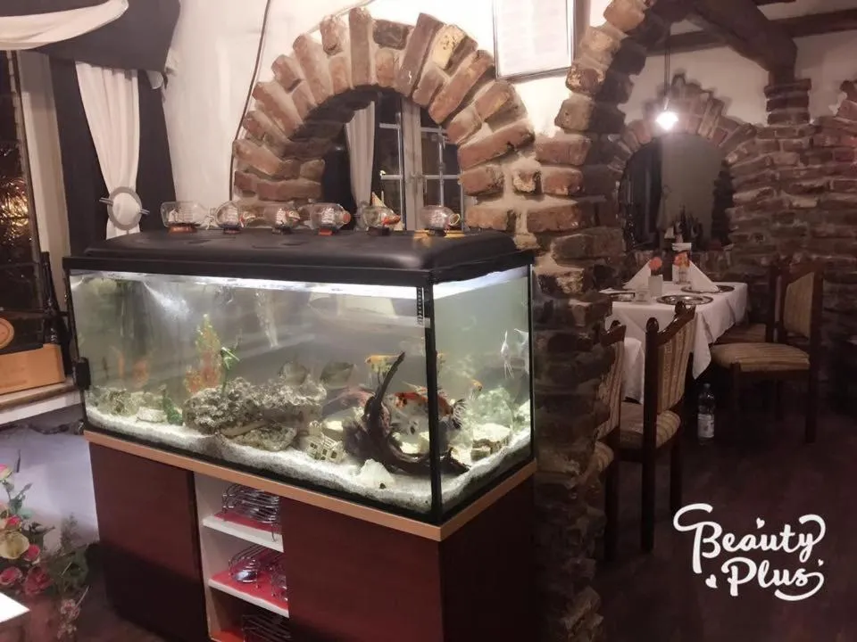 Restaurant/places to eat in Hotel-Restaurant Haus Nattkemper