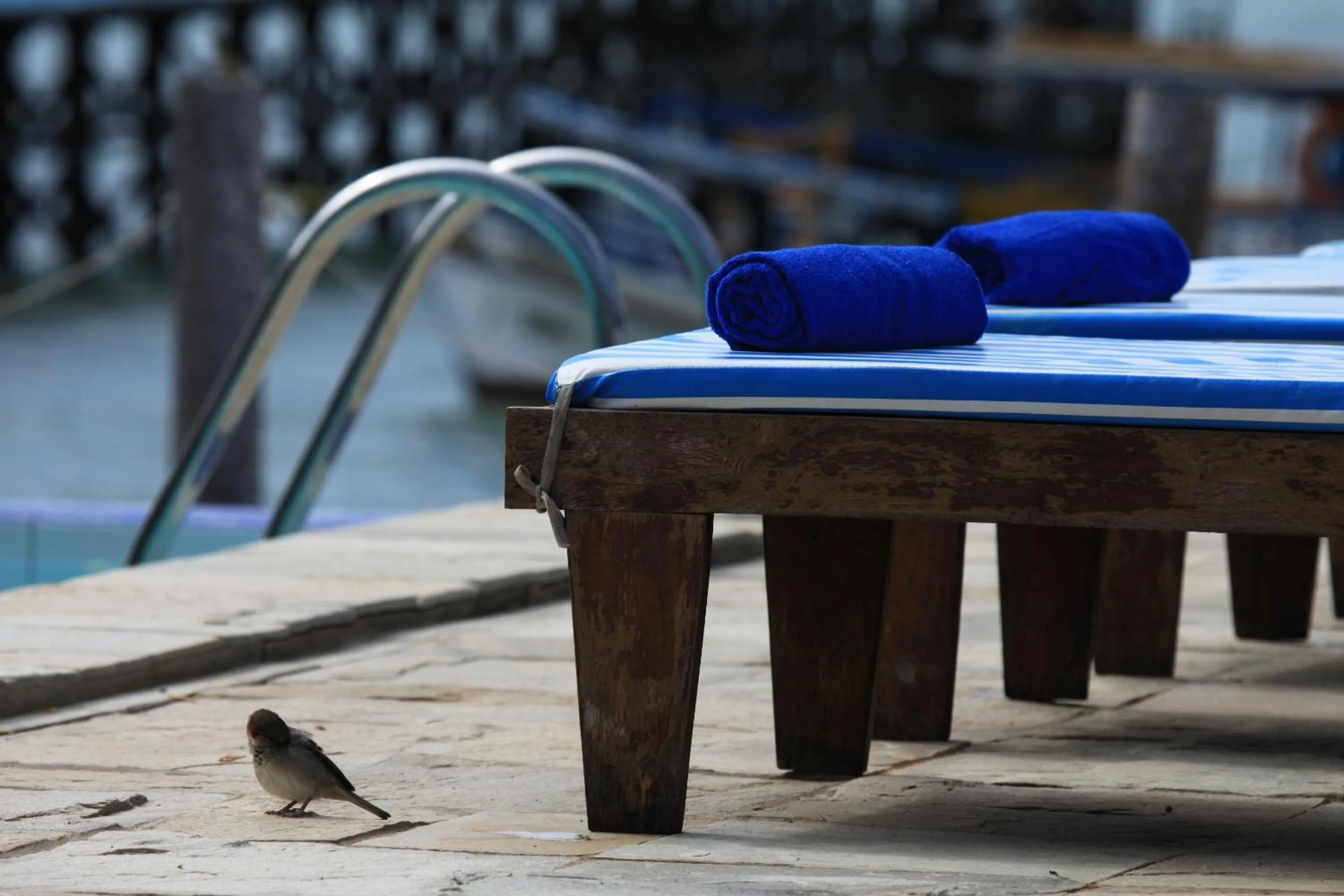 Swimming pool in Pousada Peixe Galo