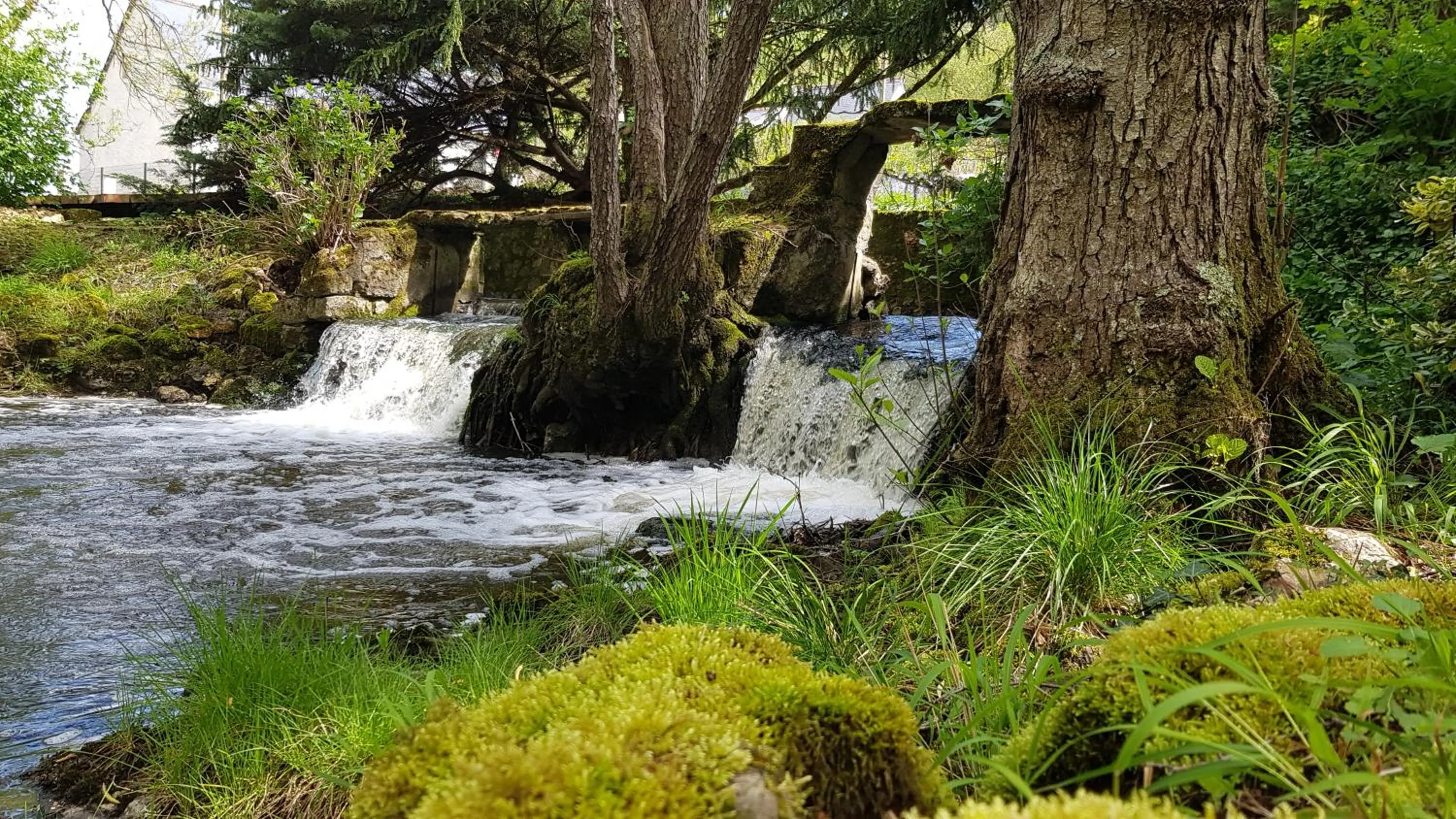 Natural landscape in Le Moulin Hodoux