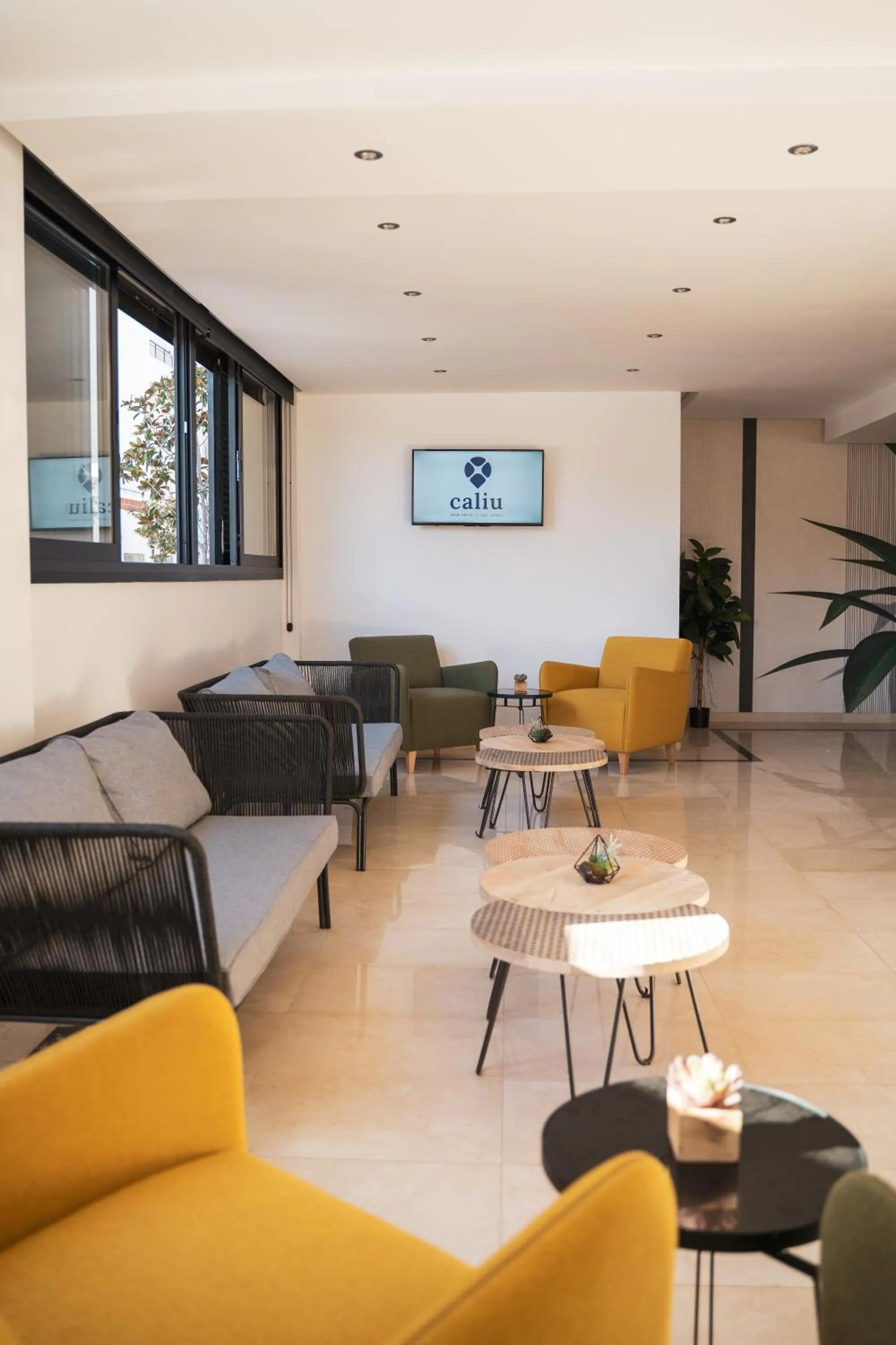 Living room in Beatrix 2000 - Caliu Apartments